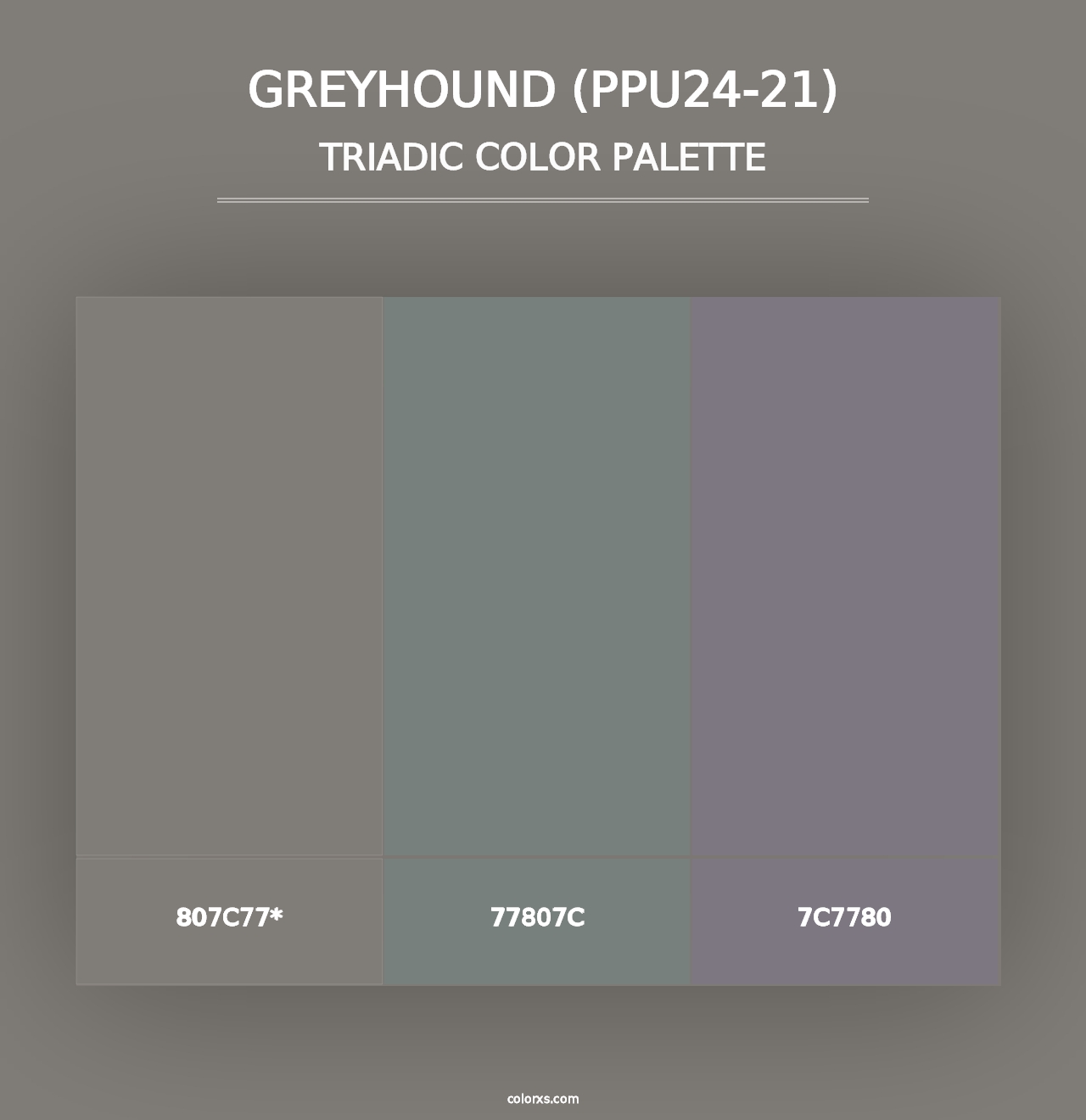 Greyhound (PPU24-21) - Triadic Color Palette