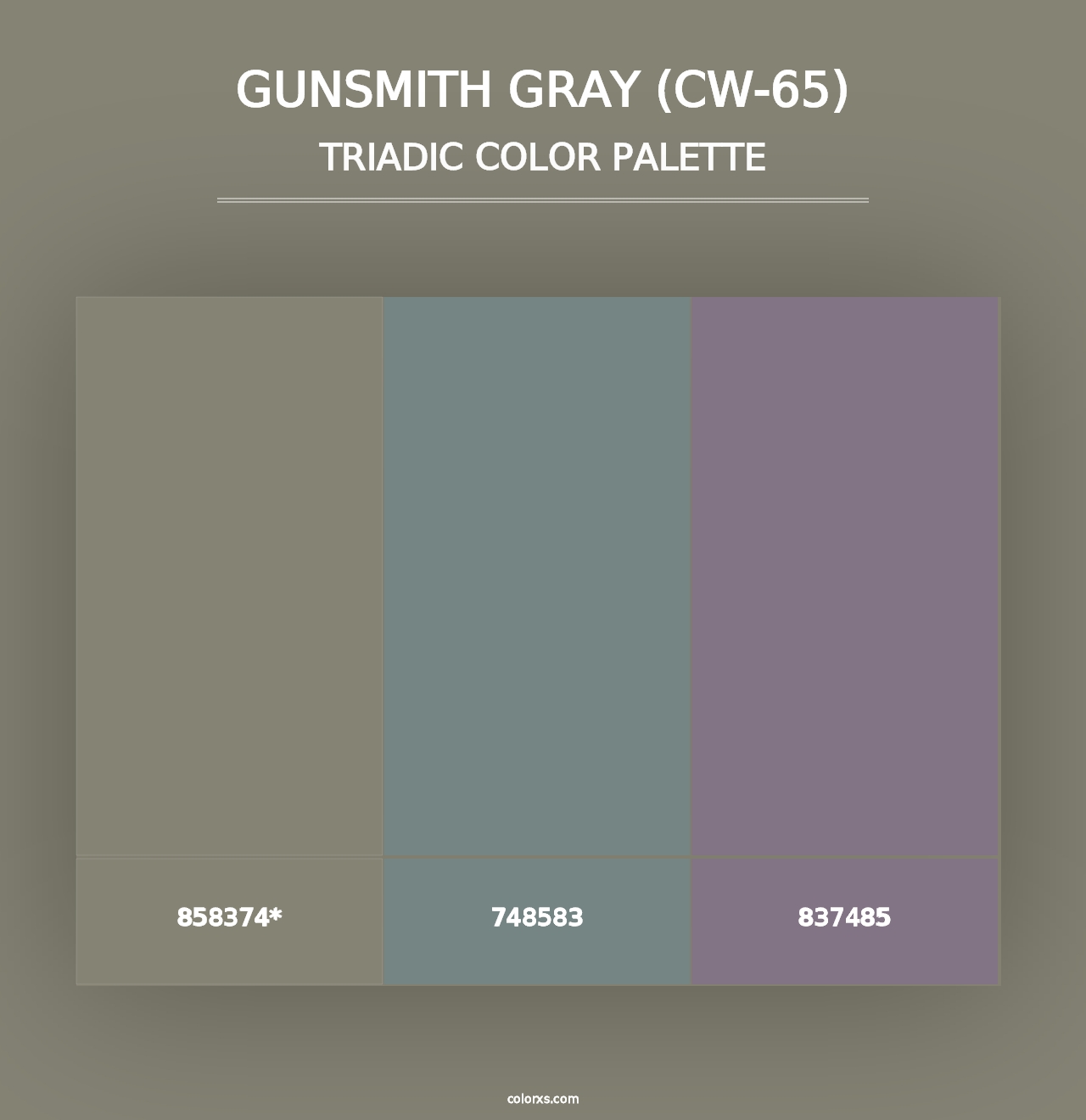 Gunsmith Gray (CW-65) - Triadic Color Palette