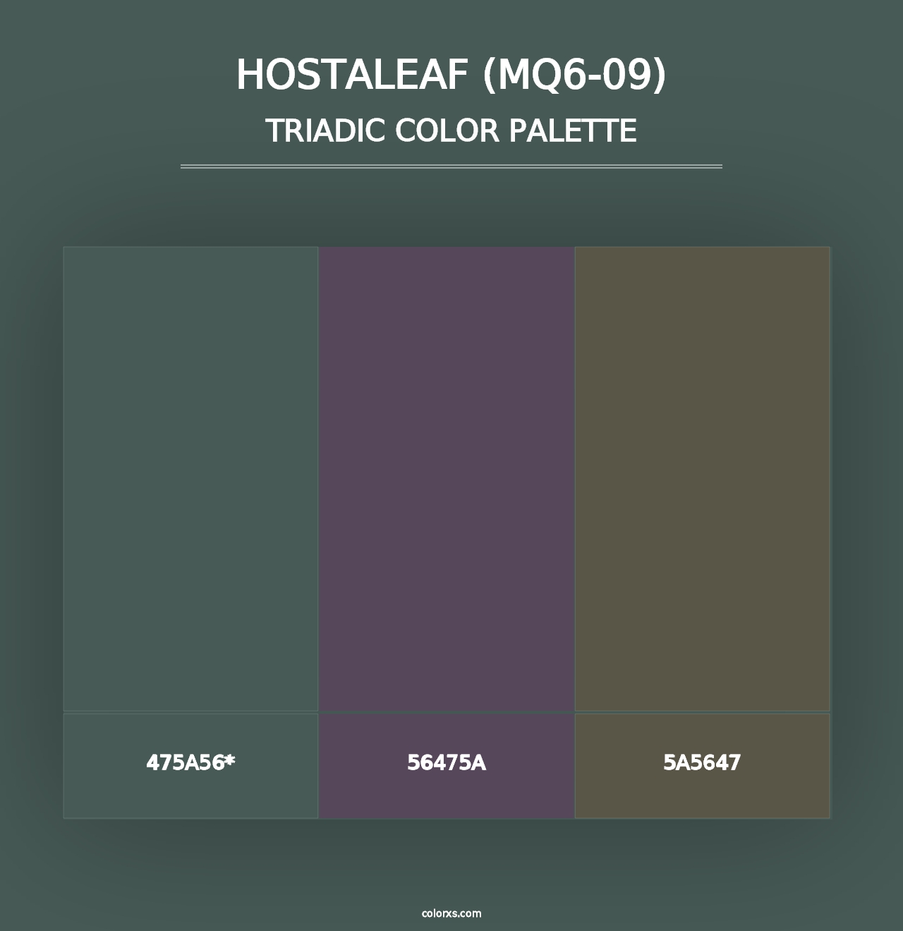 Hostaleaf (MQ6-09) - Triadic Color Palette