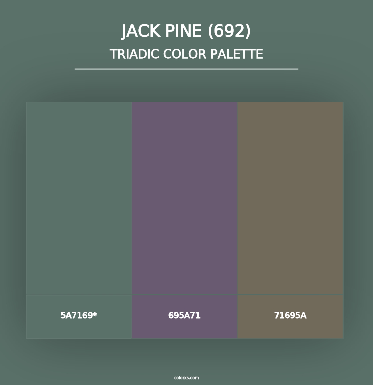 Jack Pine (692) - Triadic Color Palette