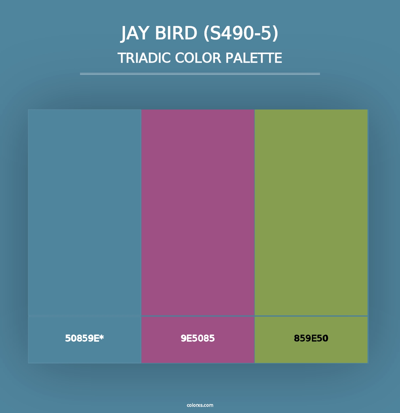 Jay Bird (S490-5) - Triadic Color Palette