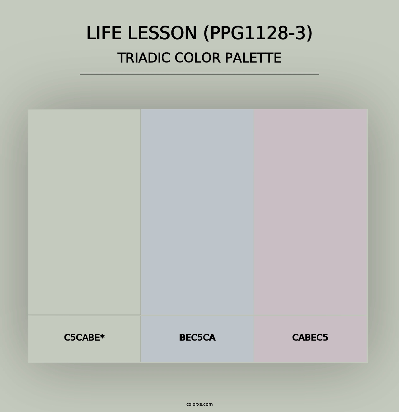 Life Lesson (PPG1128-3) - Triadic Color Palette