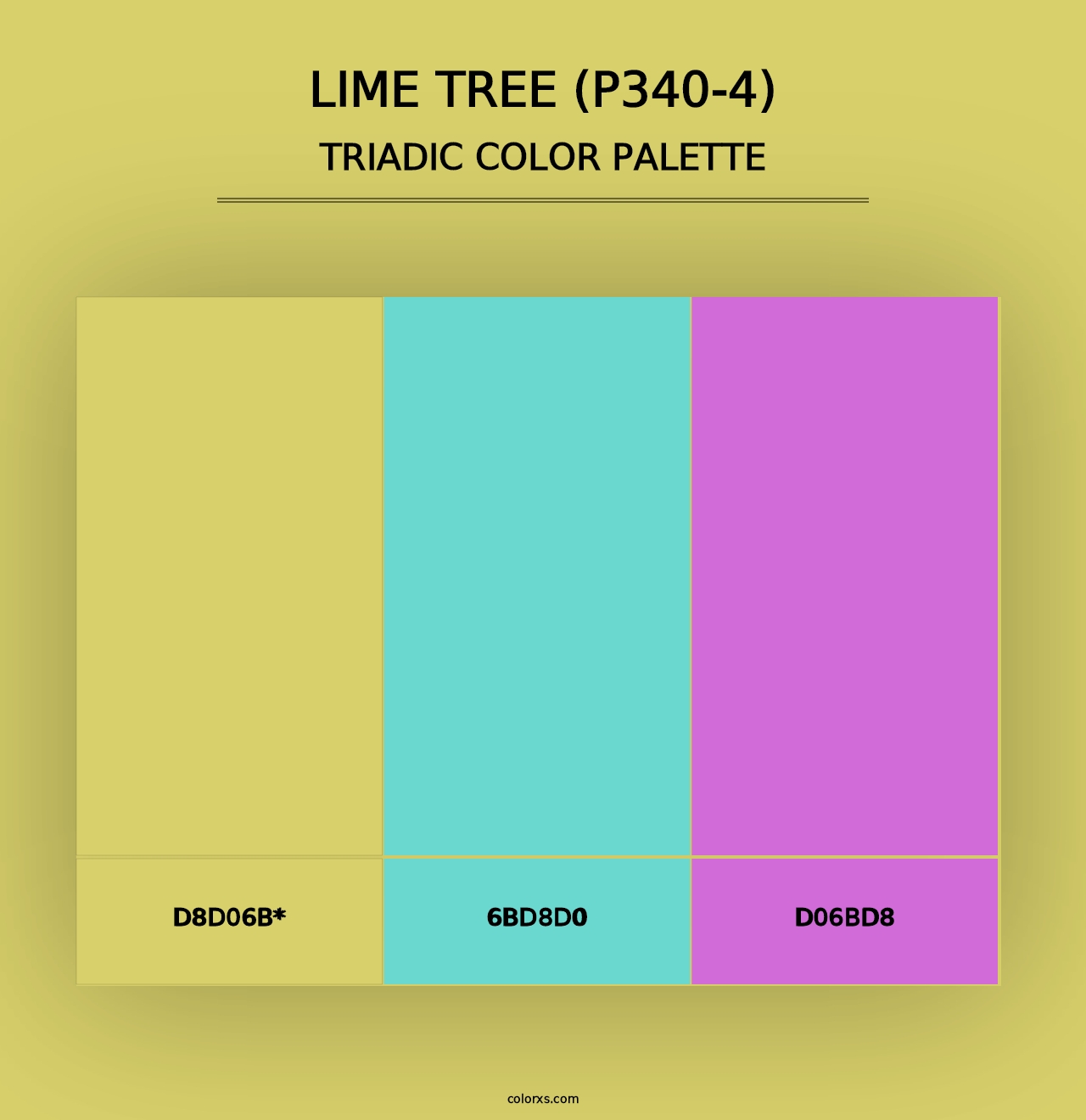 Lime Tree (P340-4) - Triadic Color Palette