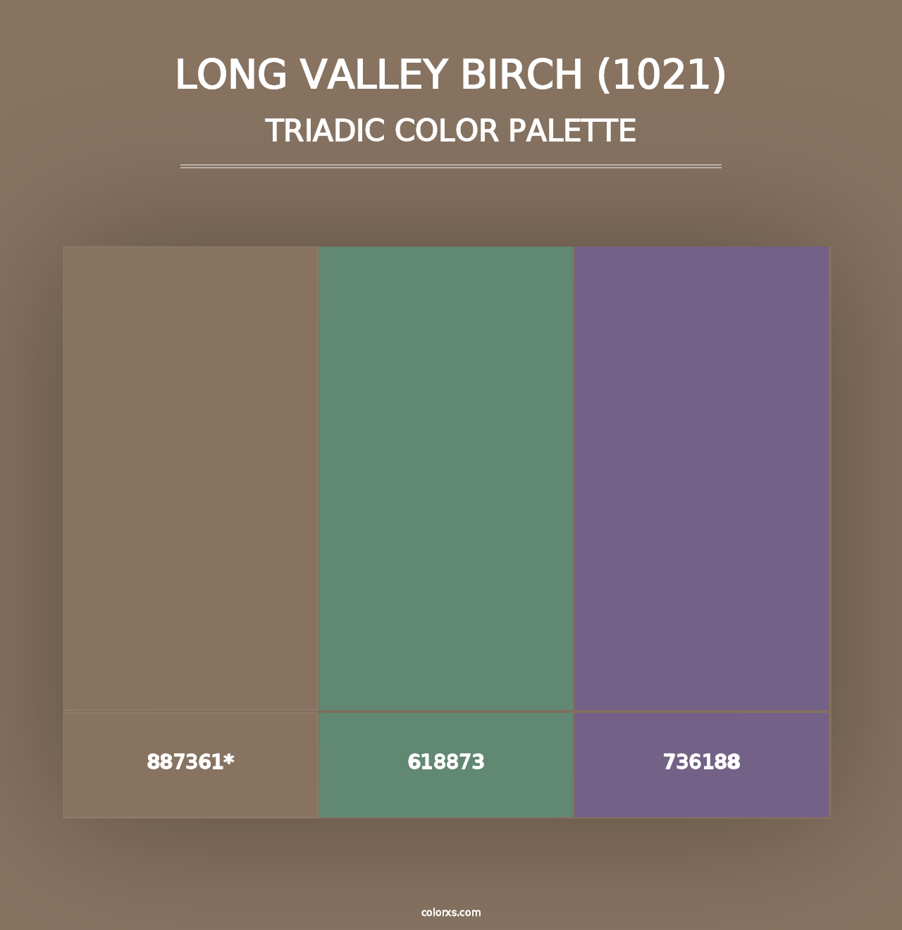 Long Valley Birch (1021) - Triadic Color Palette