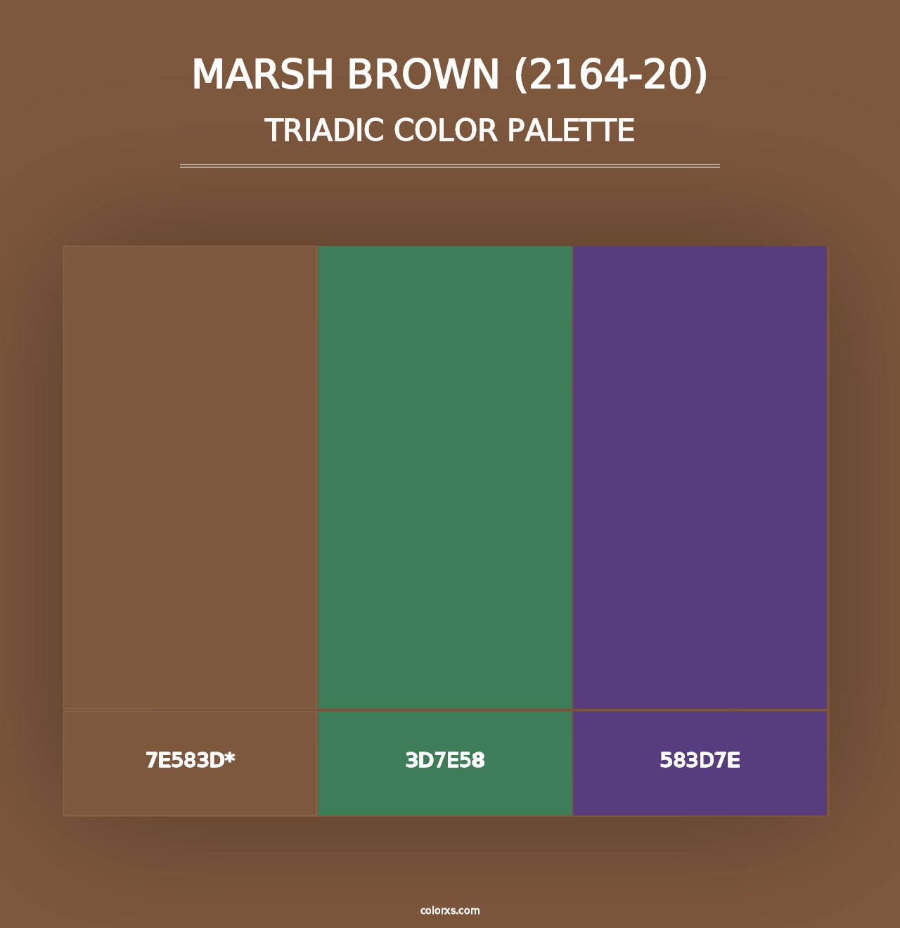 Marsh Brown (2164-20) - Triadic Color Palette