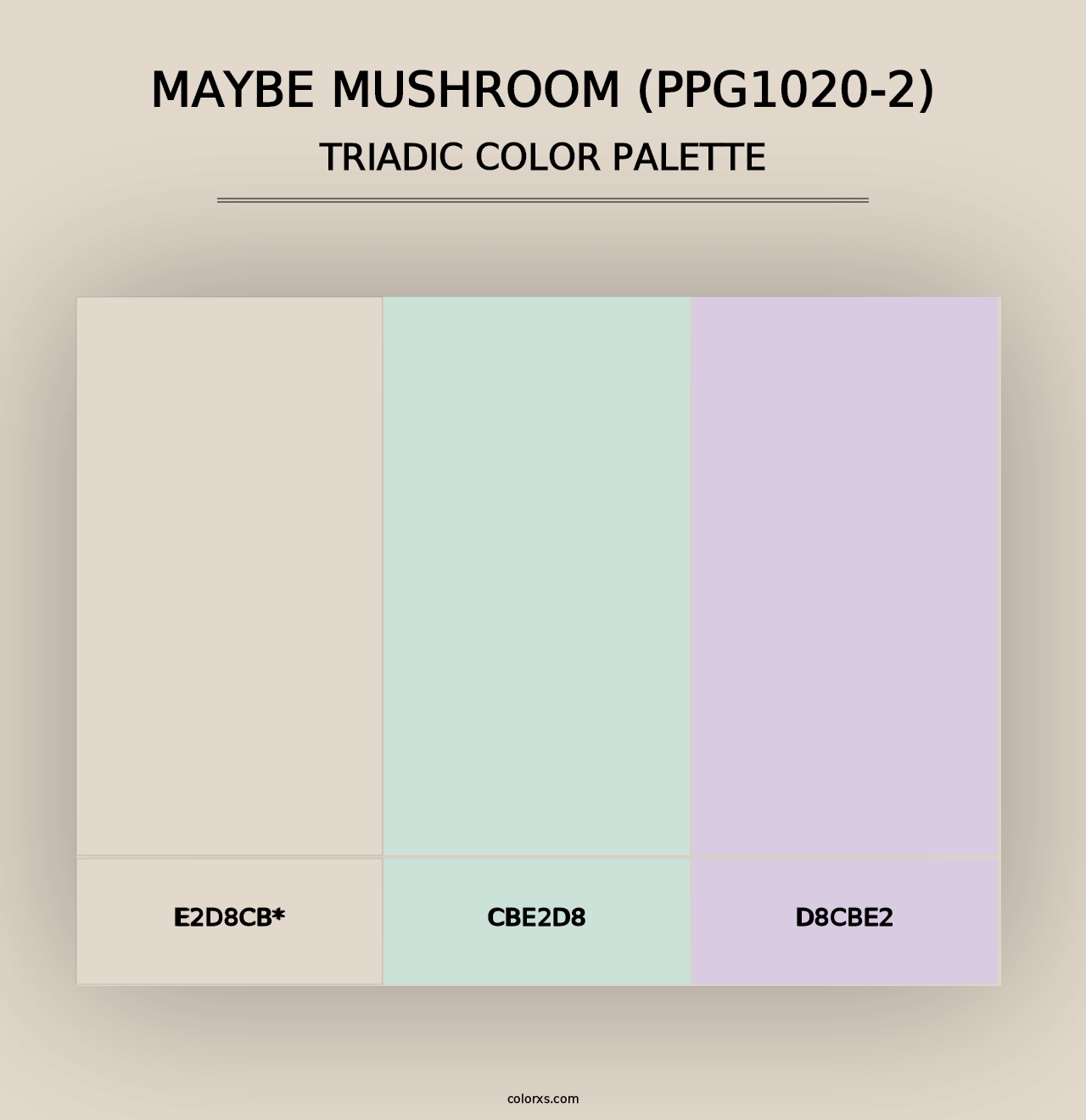 Maybe Mushroom (PPG1020-2) - Triadic Color Palette