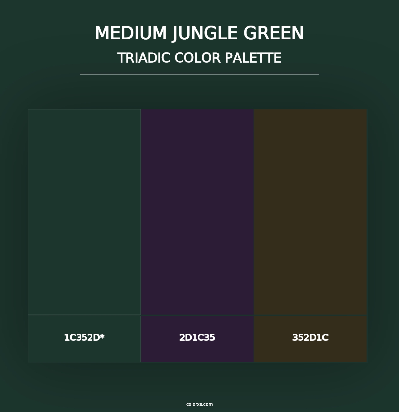 Medium Jungle Green - Triadic Color Palette