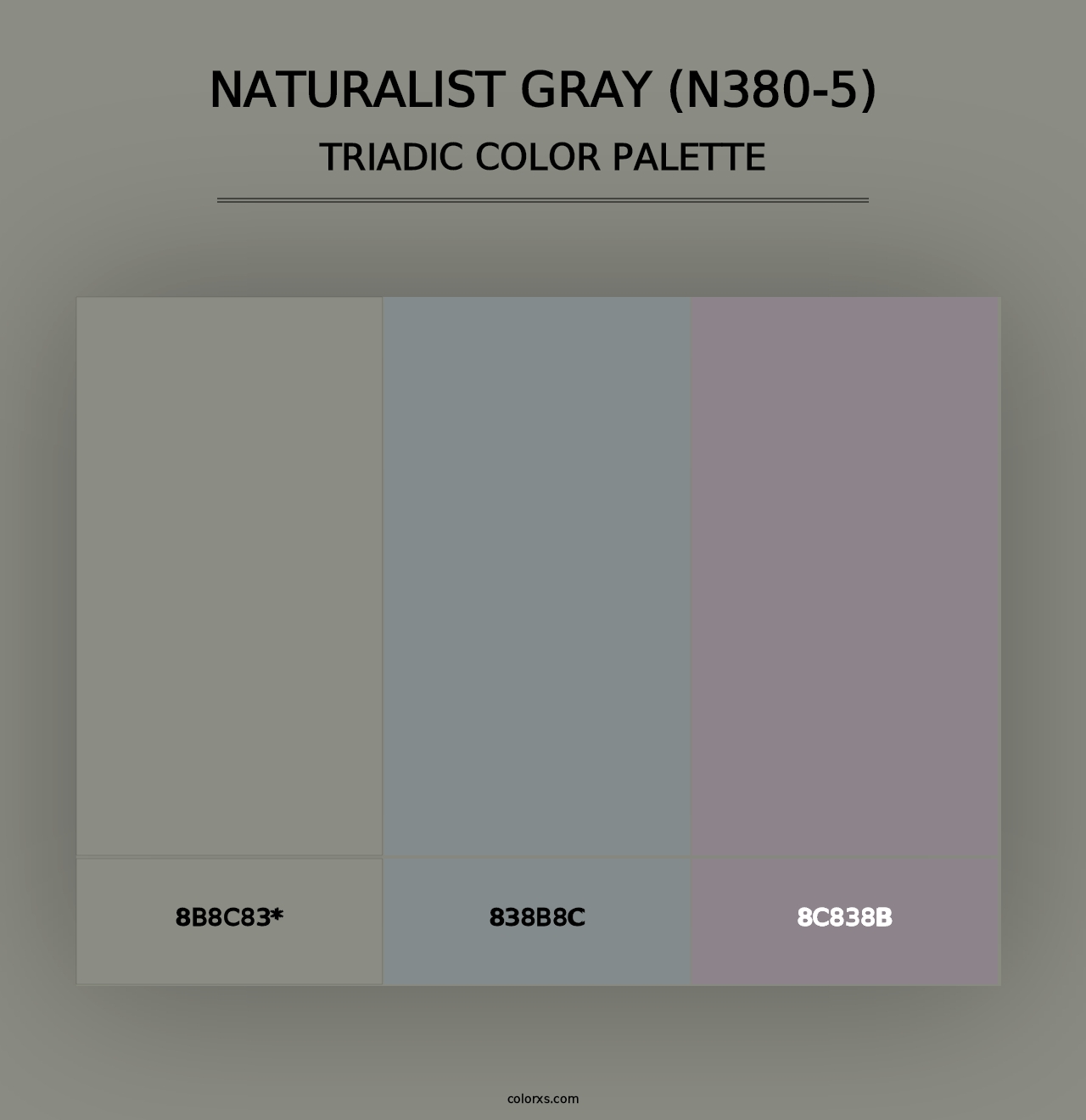 Naturalist Gray (N380-5) - Triadic Color Palette