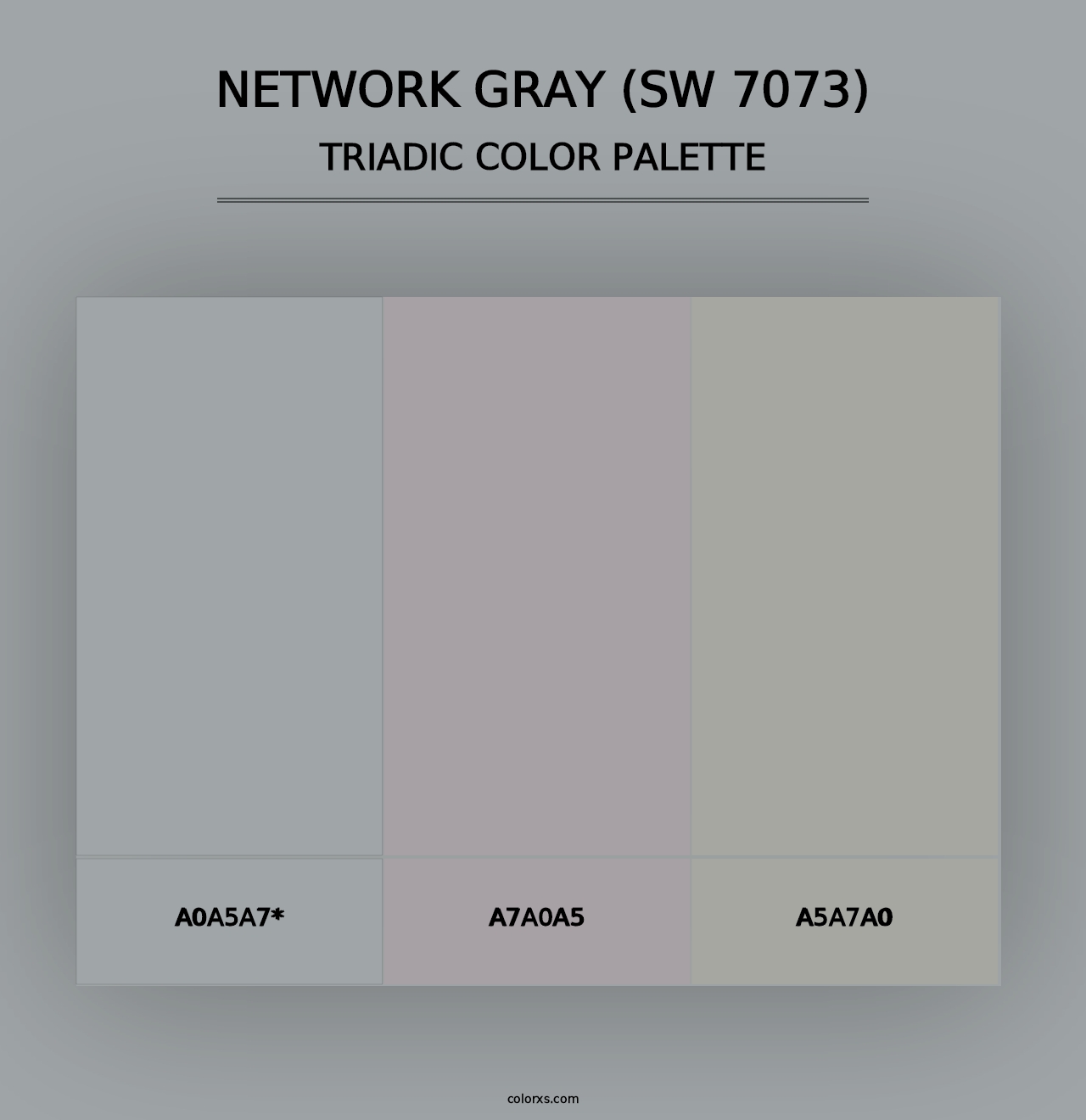 Network Gray (SW 7073) - Triadic Color Palette