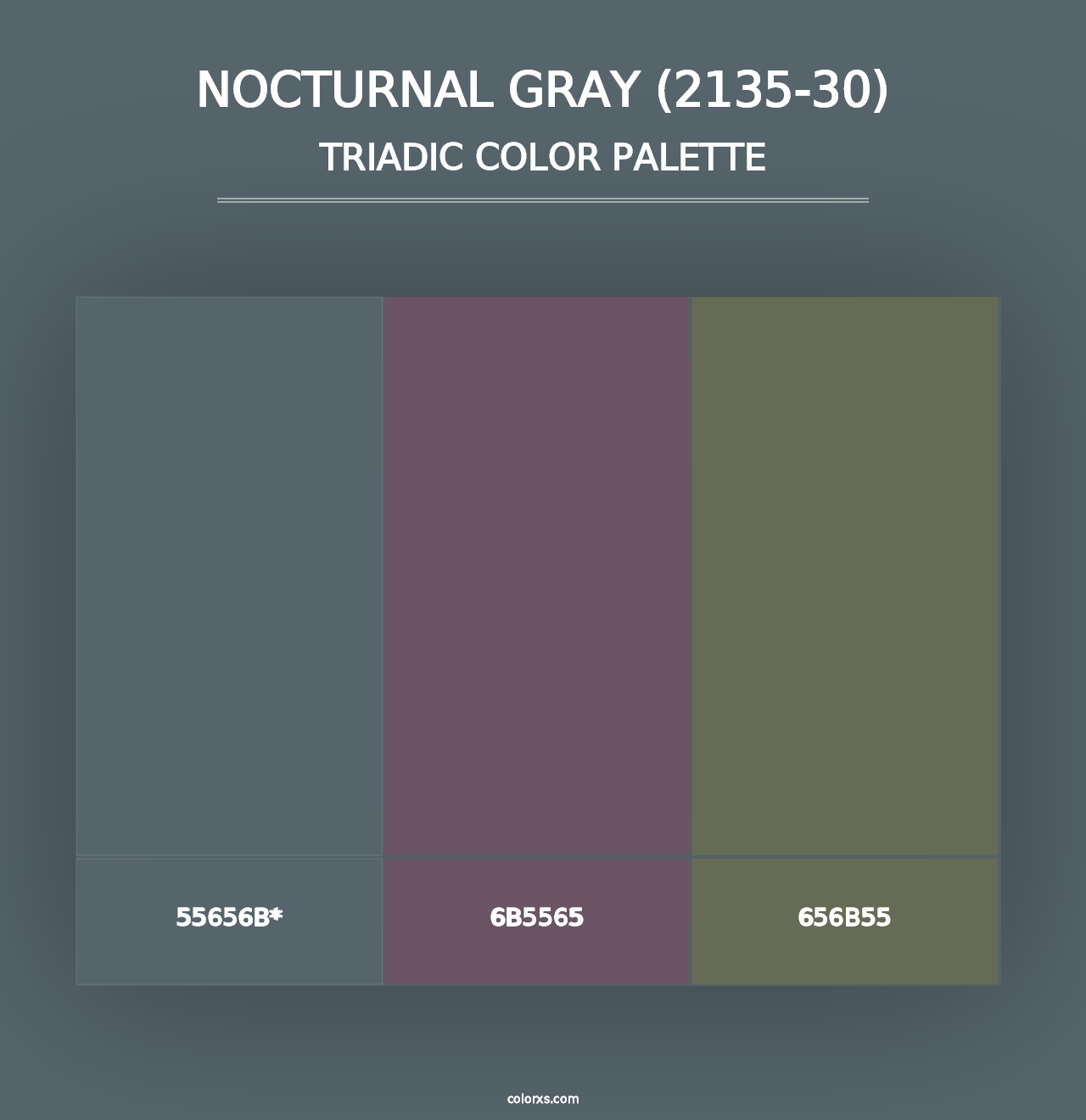 Nocturnal Gray (2135-30) - Triadic Color Palette