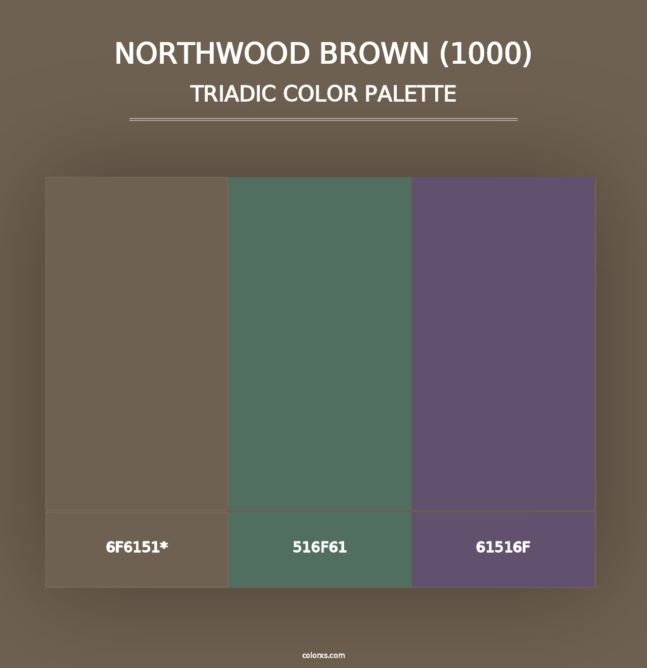 Northwood Brown (1000) - Triadic Color Palette