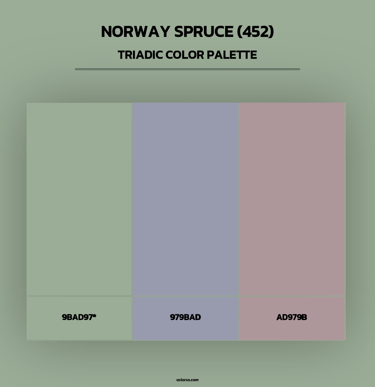 Norway Spruce (452) - Triadic Color Palette