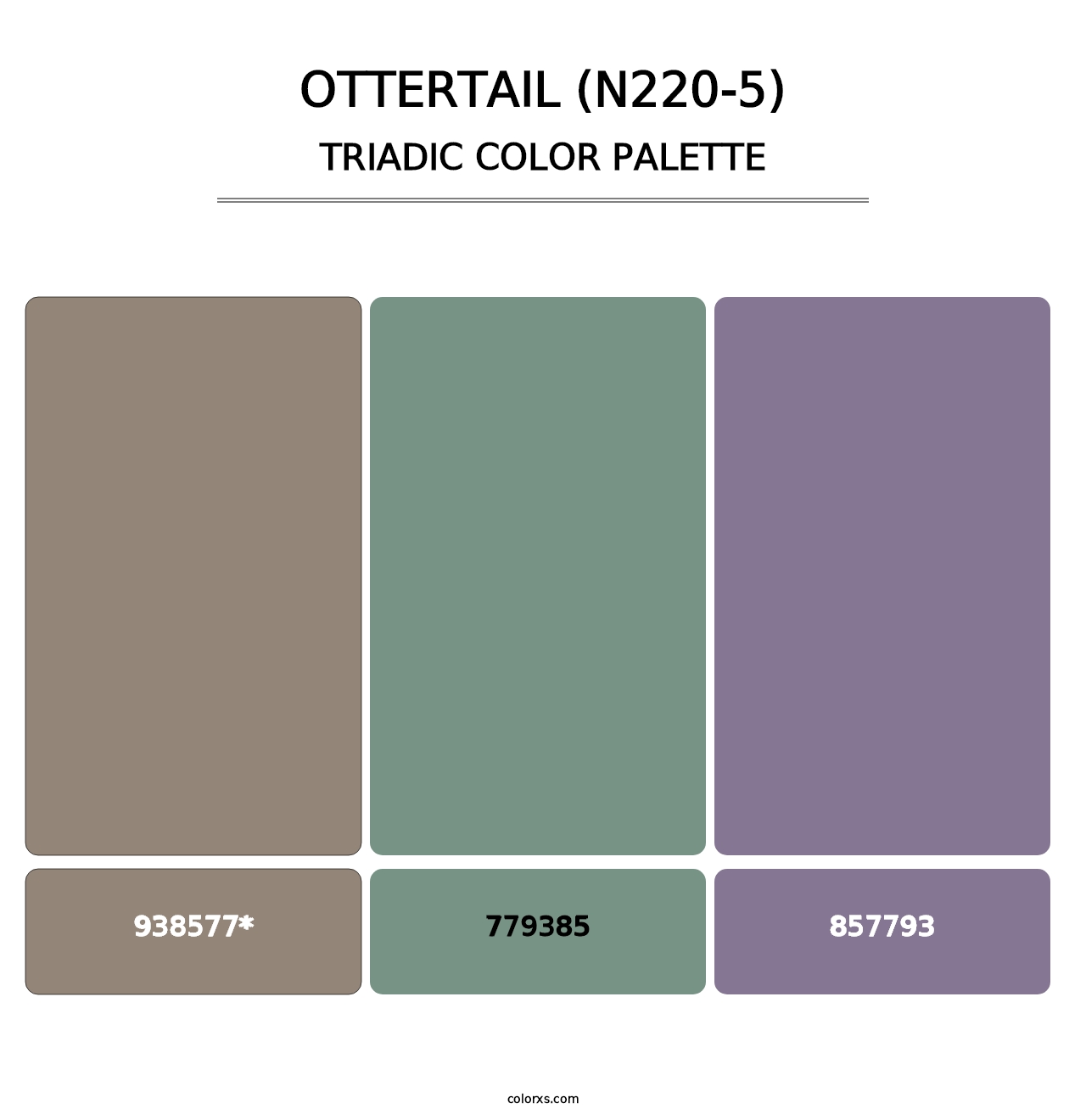 Ottertail (N220-5) - Triadic Color Palette