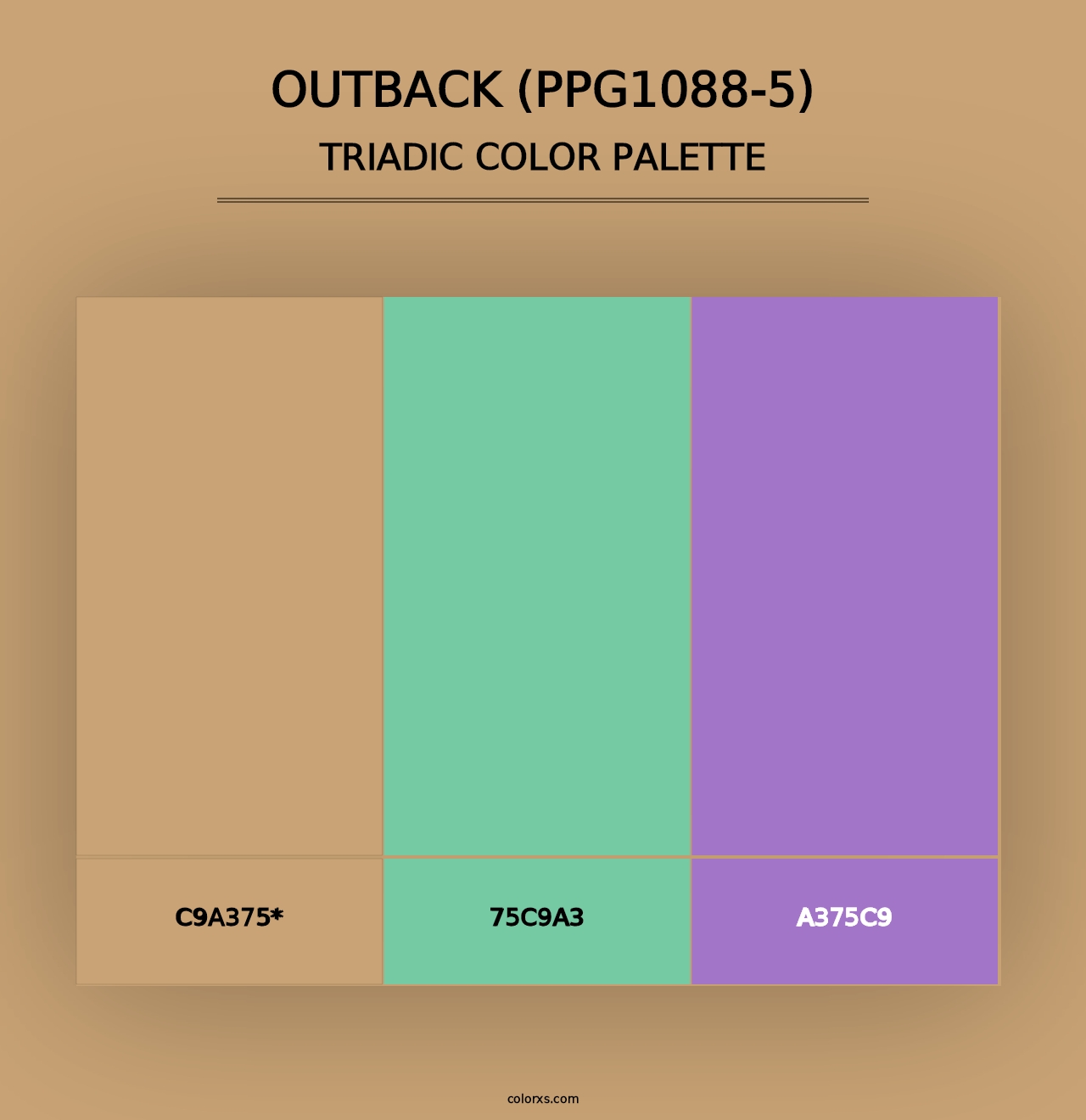 Outback (PPG1088-5) - Triadic Color Palette