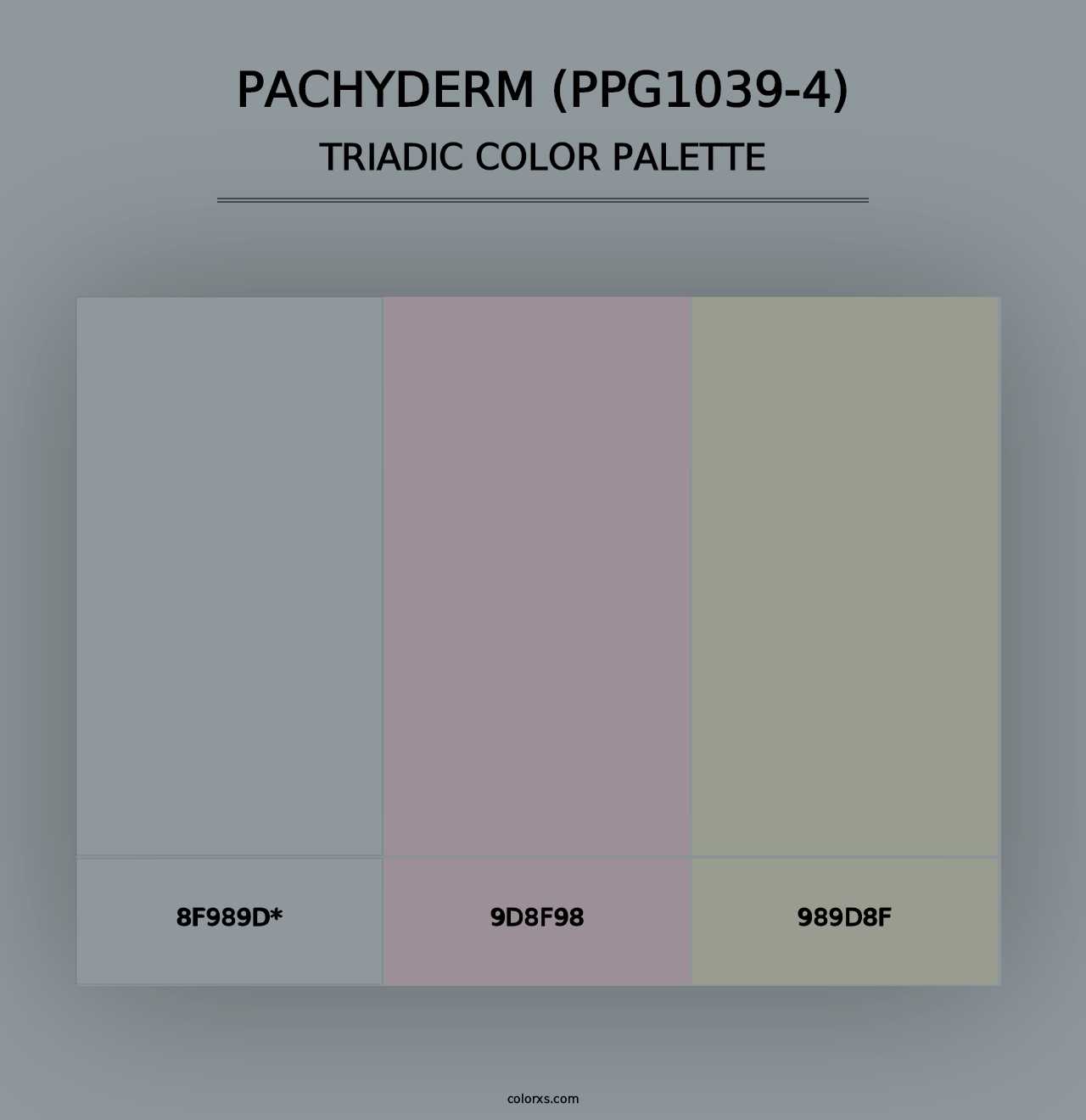 Pachyderm (PPG1039-4) - Triadic Color Palette