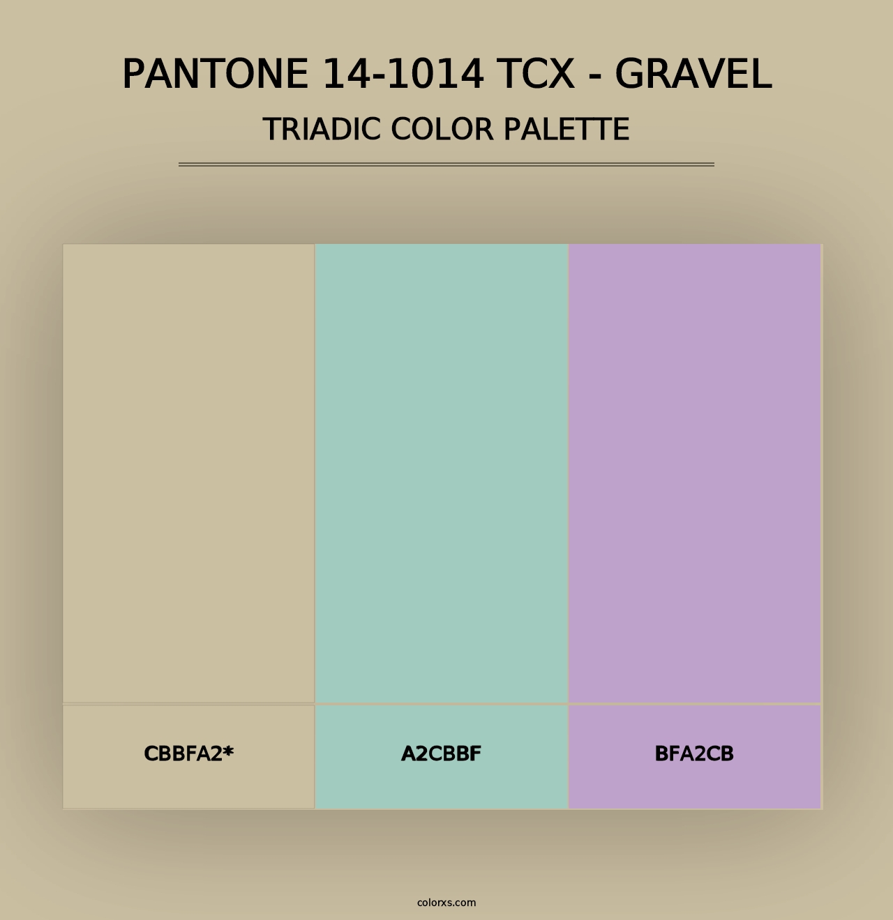 PANTONE 14-1014 TCX - Gravel - Triadic Color Palette