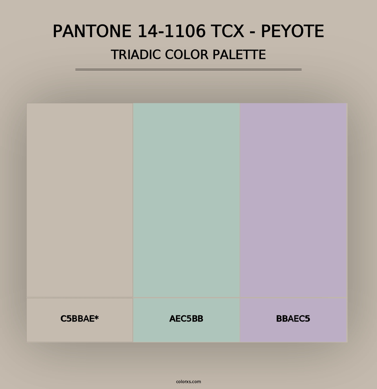 PANTONE 14-1106 TCX - Peyote - Triadic Color Palette