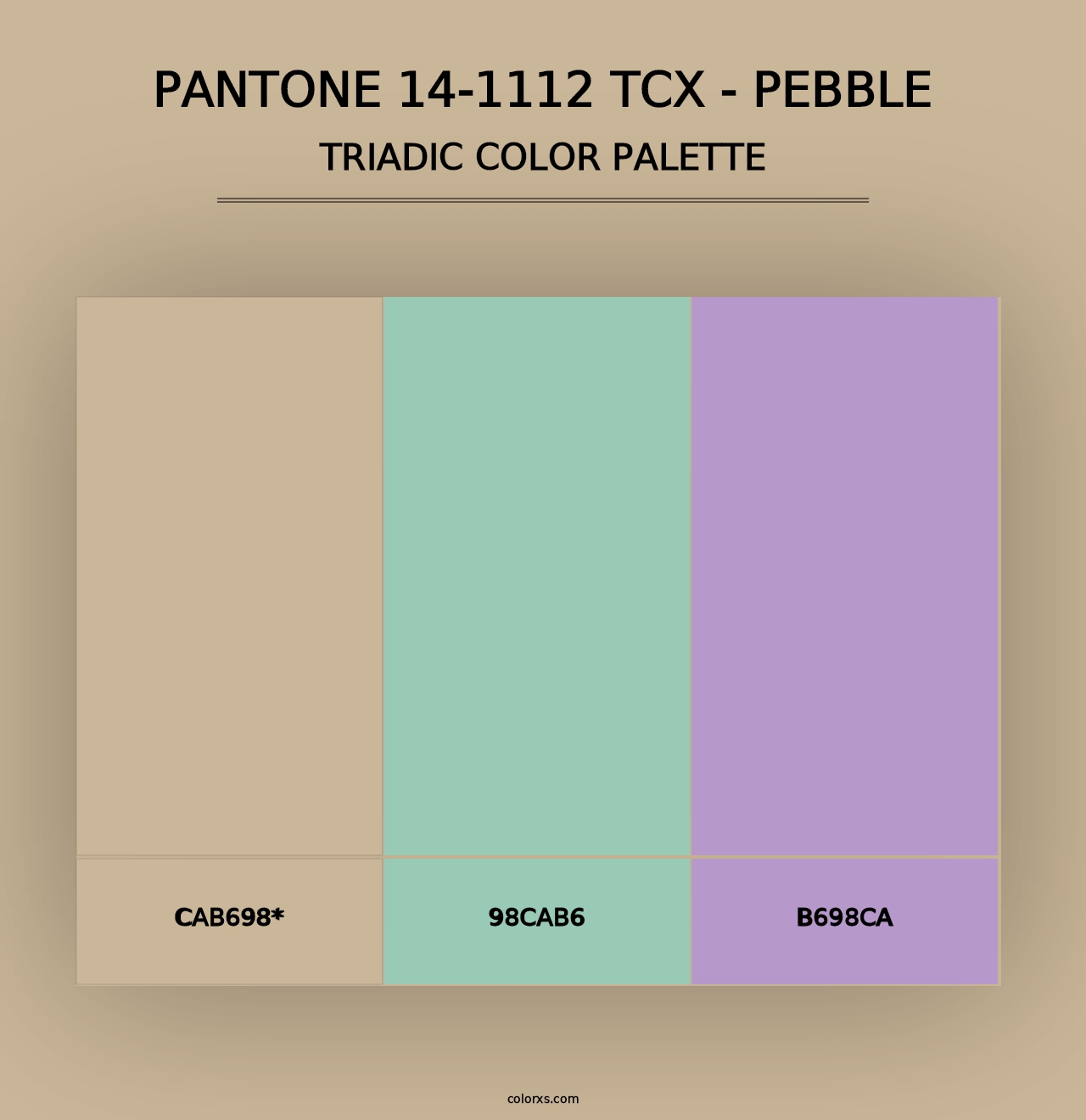 PANTONE 14-1112 TCX - Pebble - Triadic Color Palette