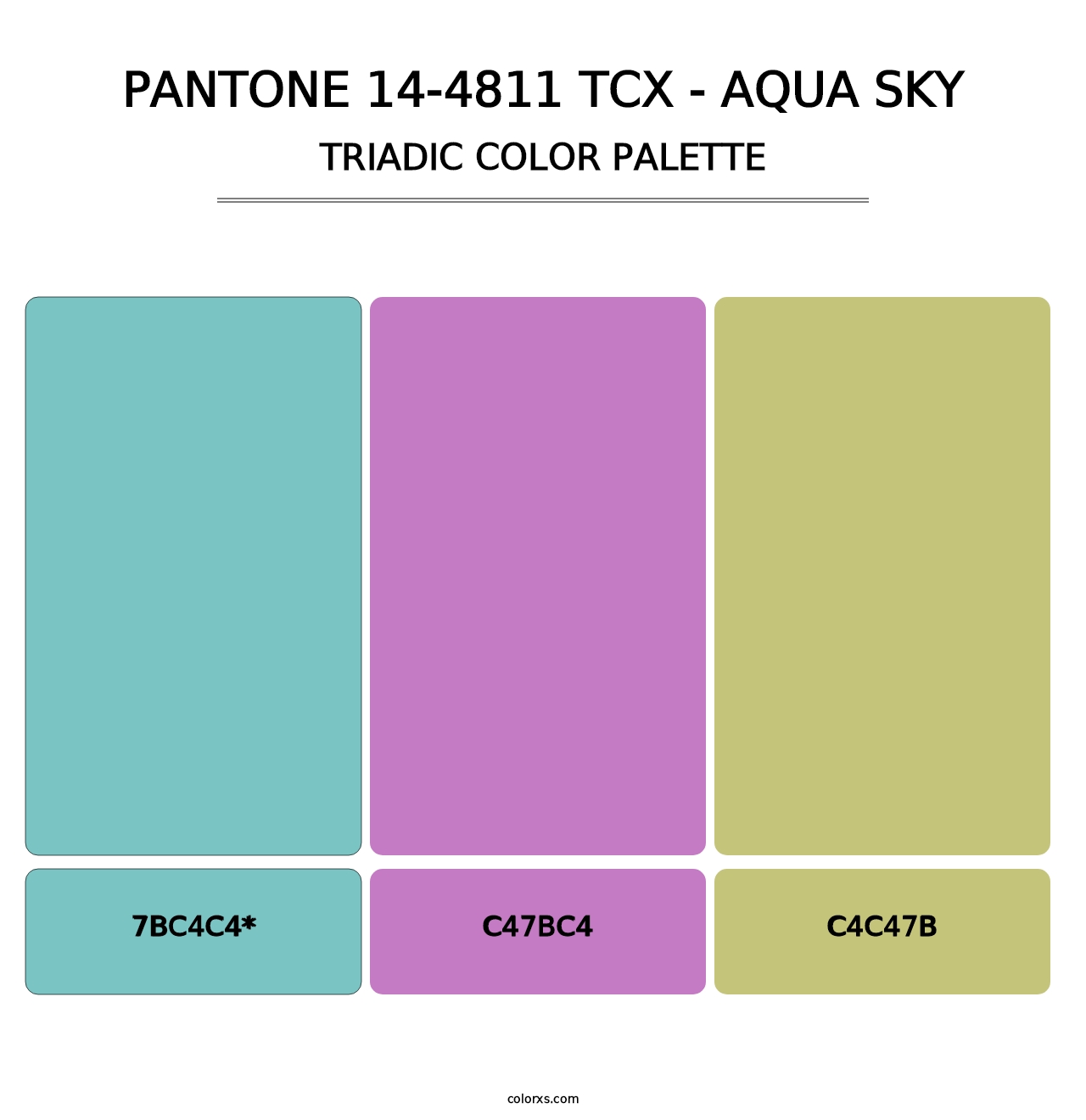 PANTONE 14-4811 TCX - Aqua Sky color palettes - colorxs.com