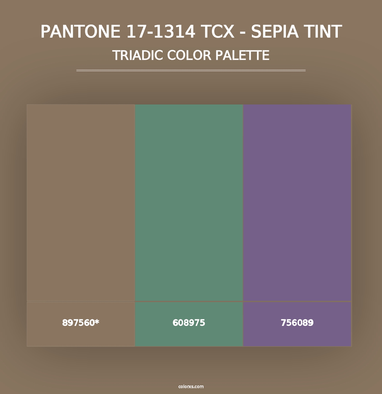 PANTONE 17-1314 TCX - Sepia Tint - Triadic Color Palette