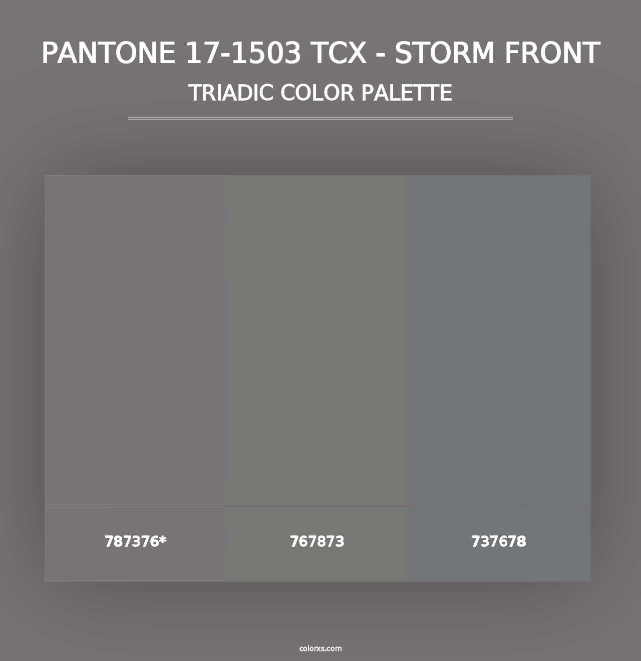 PANTONE 17-1503 TCX - Storm Front - Triadic Color Palette