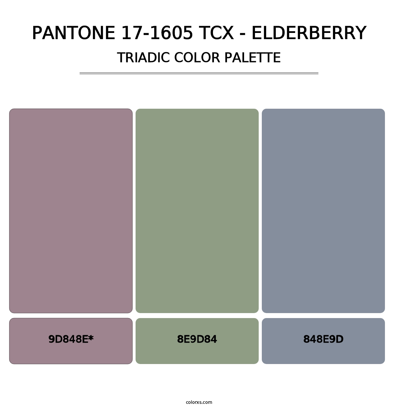 PANTONE 17-1605 TCX - Elderberry - Triadic Color Palette