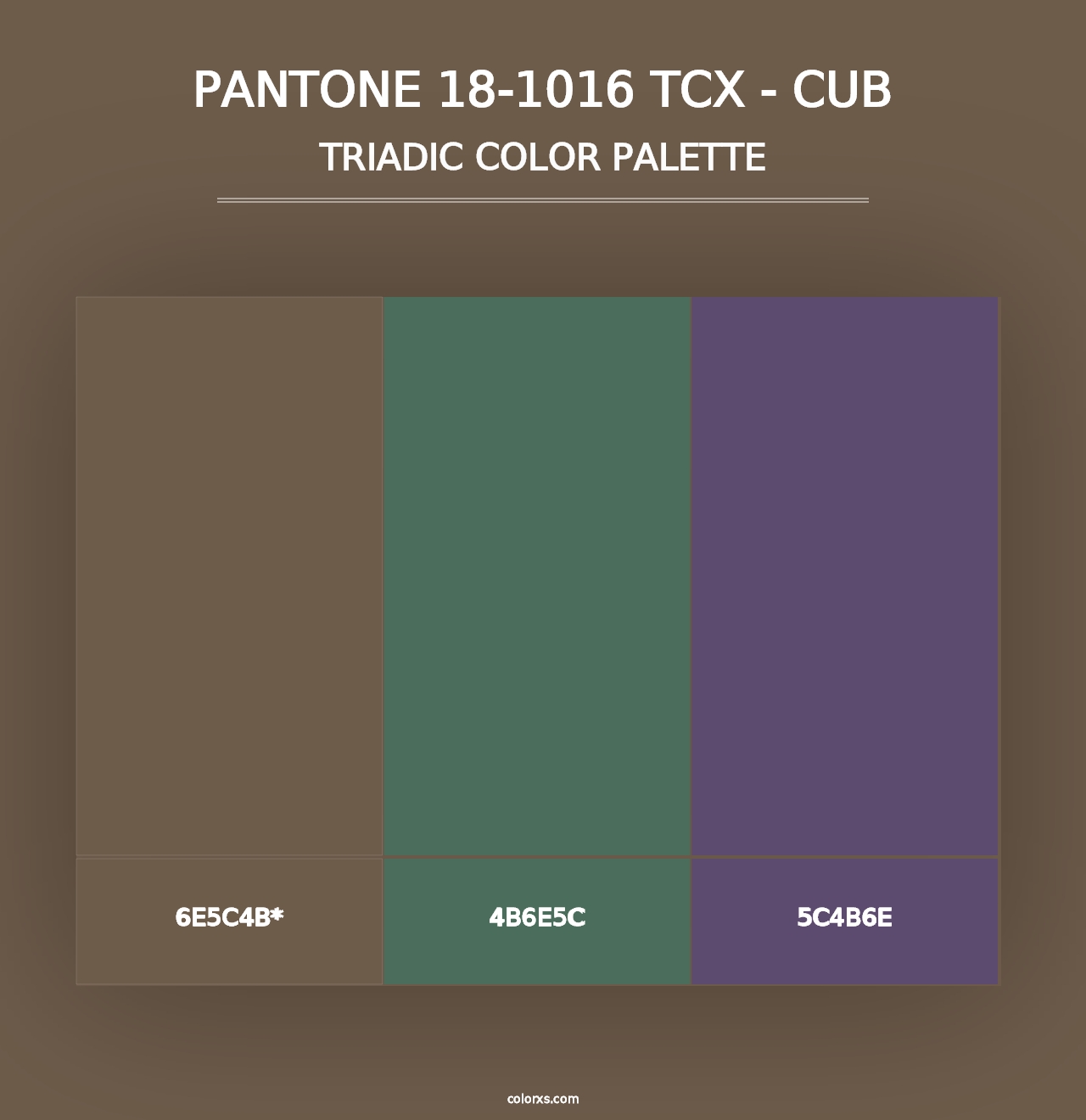 PANTONE 18-1016 TCX - Cub - Triadic Color Palette