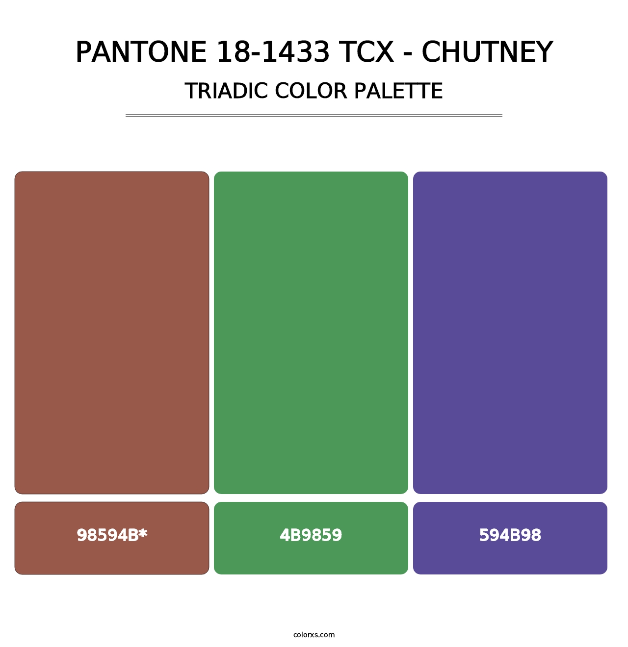 PANTONE 18-1433 TCX - Chutney - Triadic Color Palette