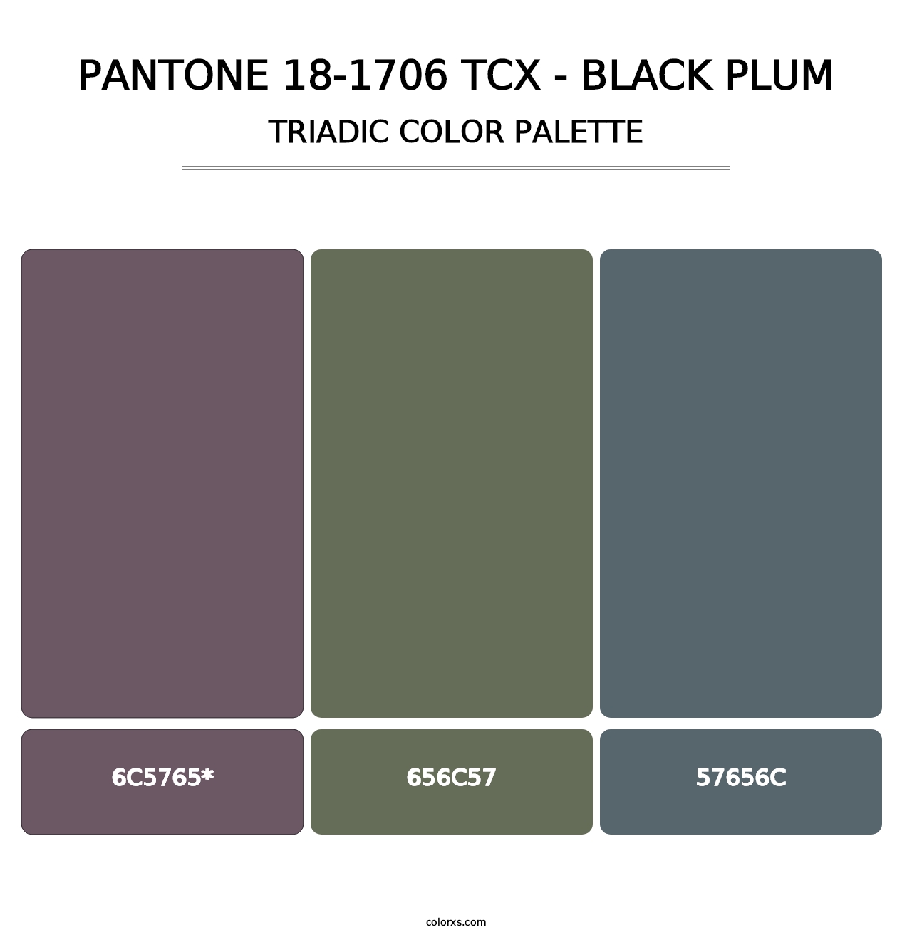 PANTONE 18-1706 TCX - Black Plum - Triadic Color Palette