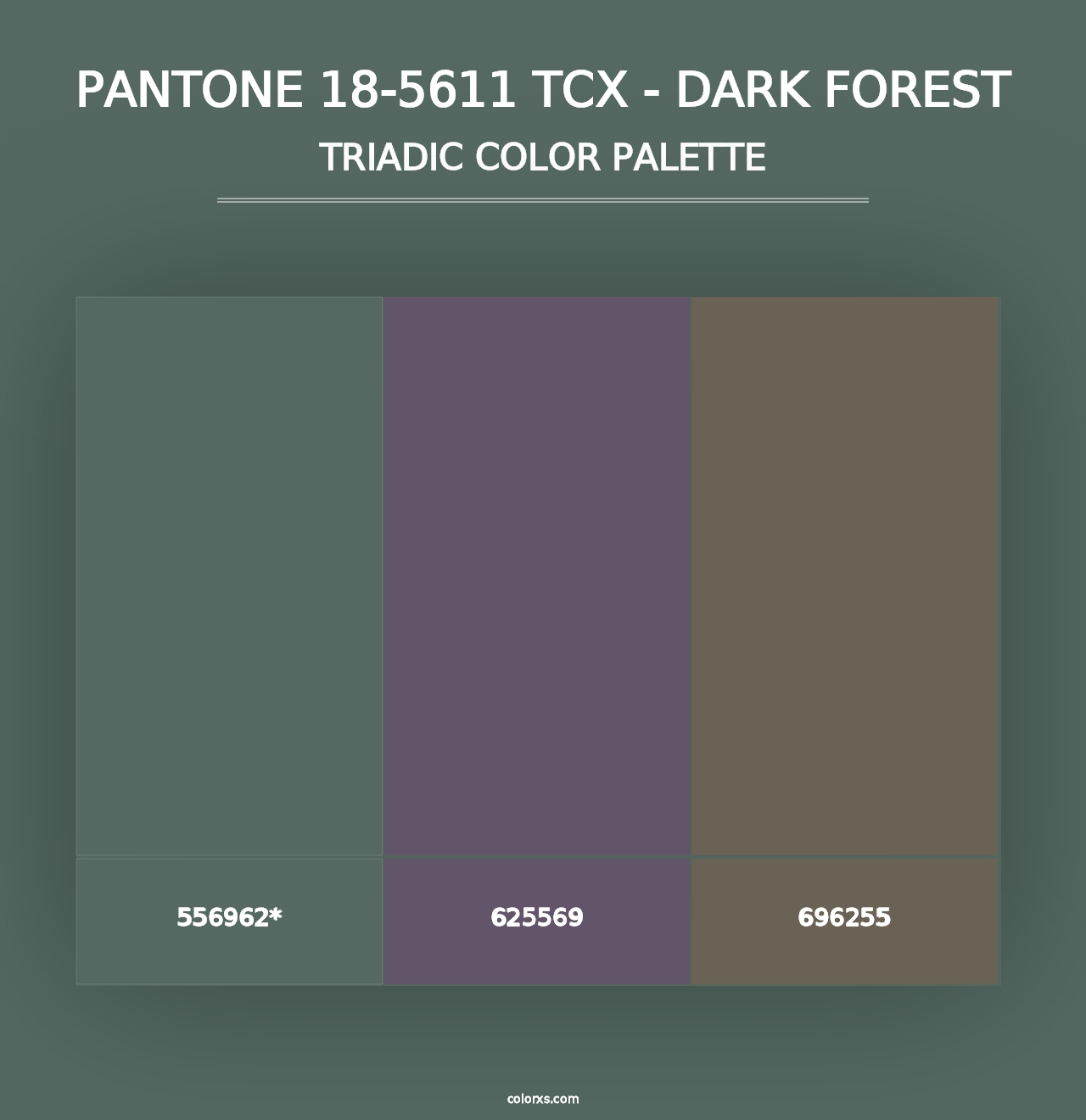 PANTONE 18-5611 TCX - Dark Forest - Triadic Color Palette