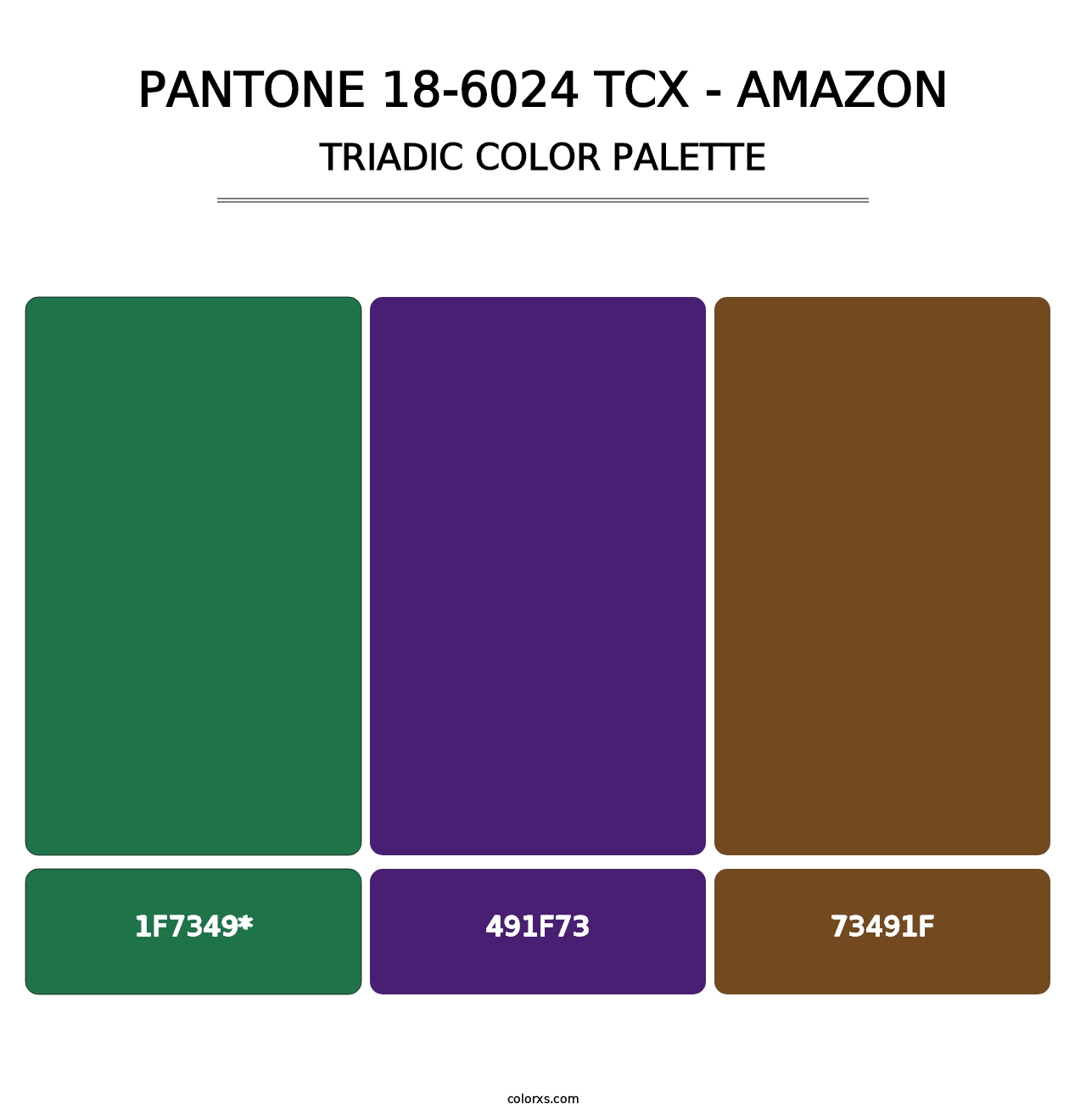 PANTONE 18-6024 TCX - Amazon - Triadic Color Palette