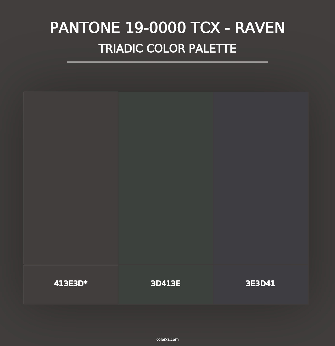 PANTONE 19-0000 TCX - Raven - Triadic Color Palette