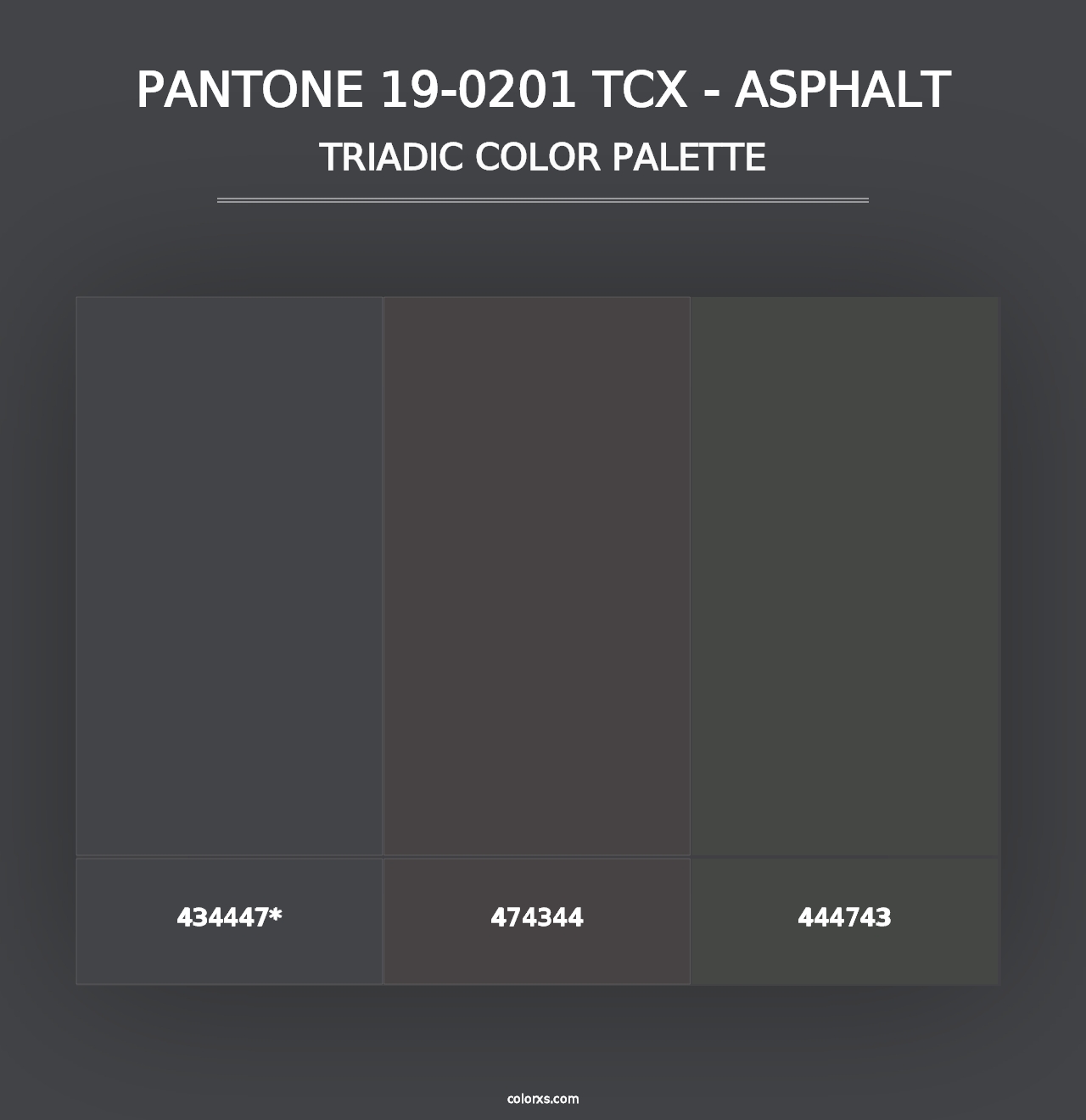 PANTONE 19-0201 TCX - Asphalt - Triadic Color Palette