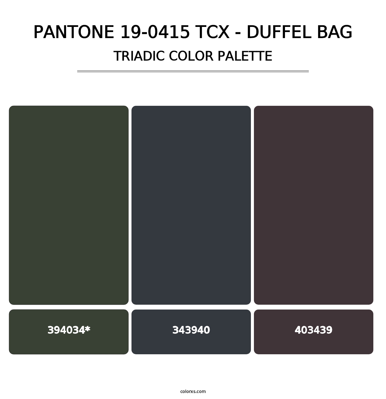 PANTONE 19-0415 TCX - Duffel Bag - Triadic Color Palette