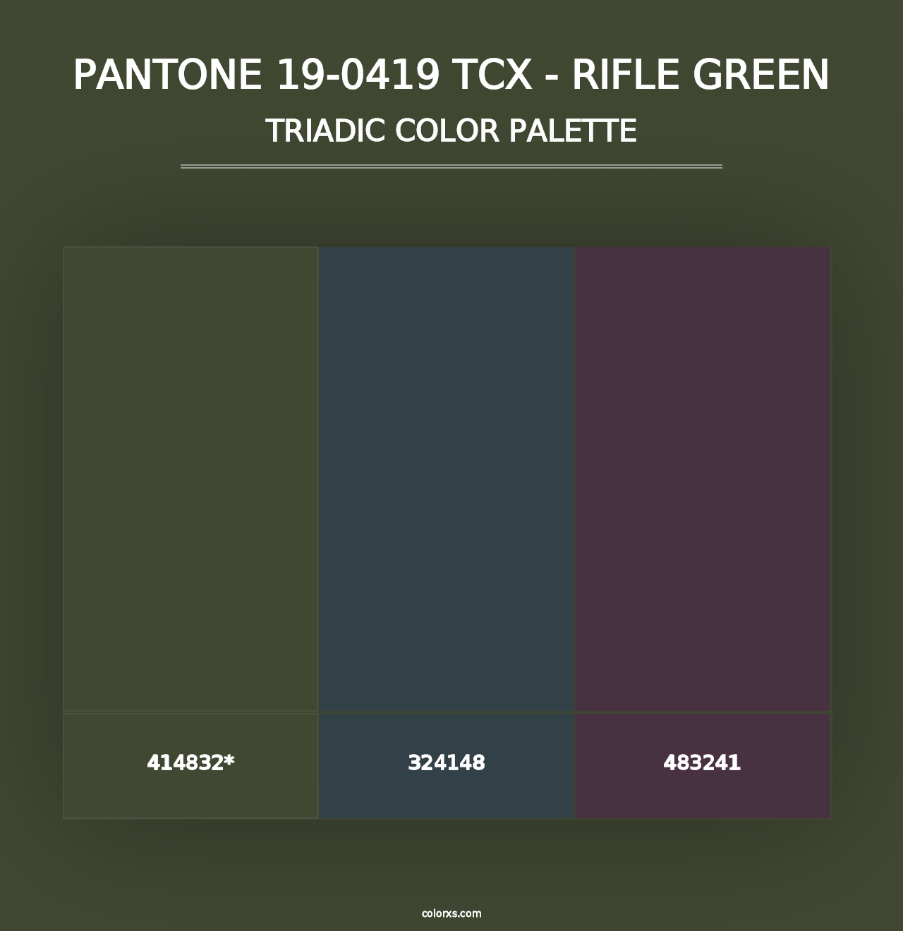 PANTONE 19-0419 TCX - Rifle Green - Triadic Color Palette