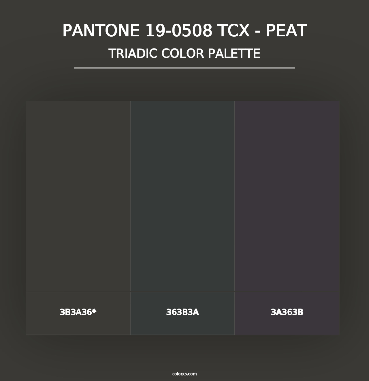 PANTONE 19-0508 TCX - Peat - Triadic Color Palette