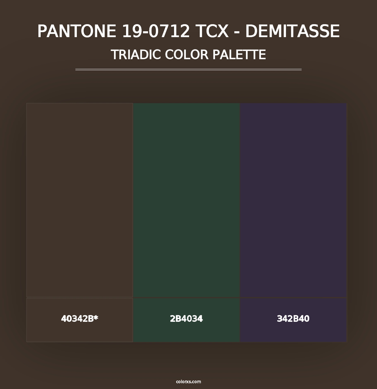 PANTONE 19-0712 TCX - Demitasse - Triadic Color Palette