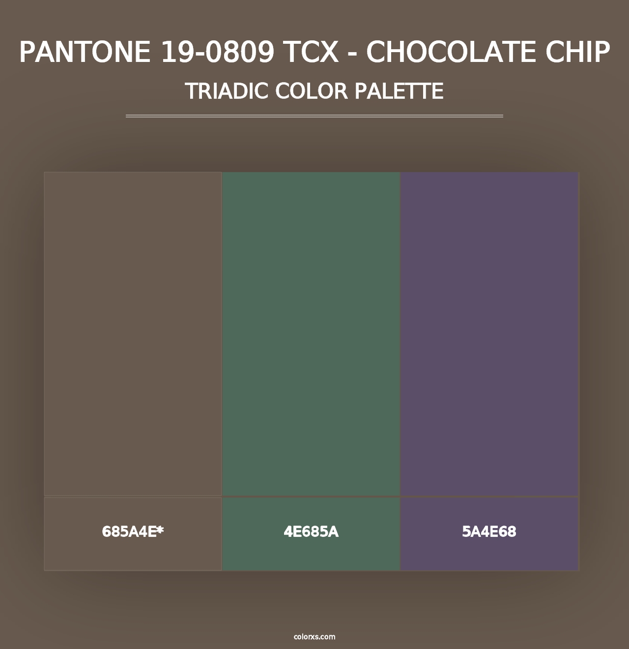 PANTONE 19-0809 TCX - Chocolate Chip - Triadic Color Palette