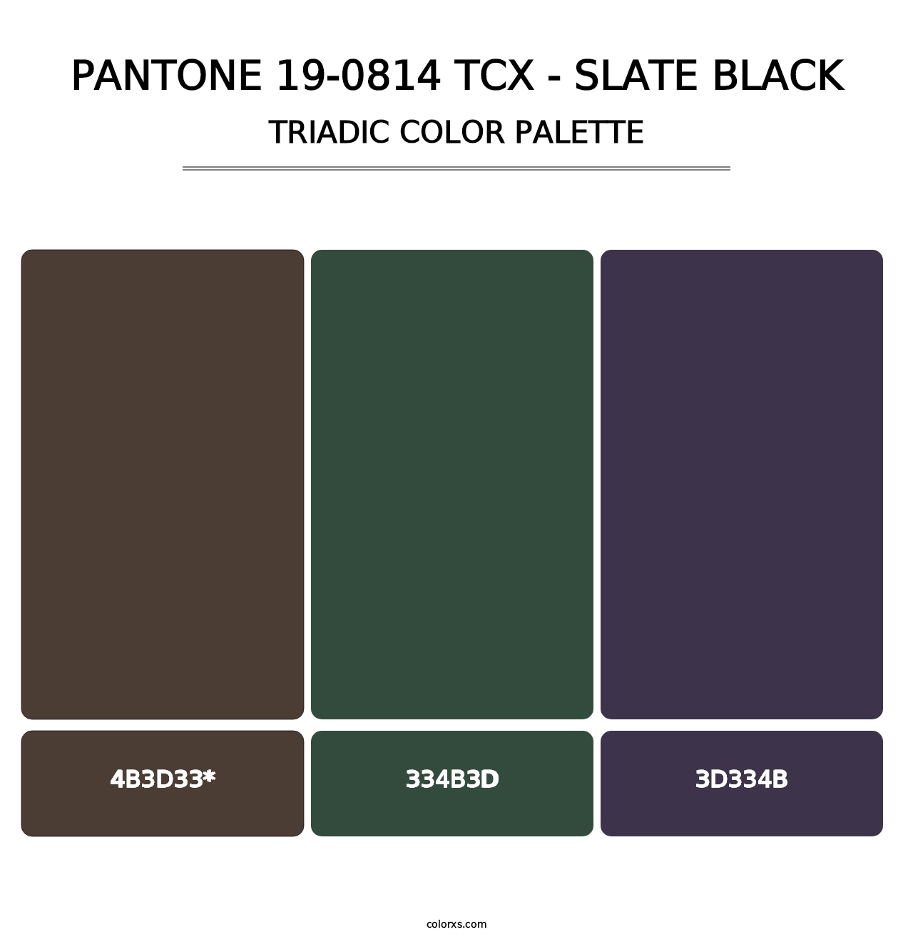 PANTONE 19-0814 TCX - Slate Black - Triadic Color Palette