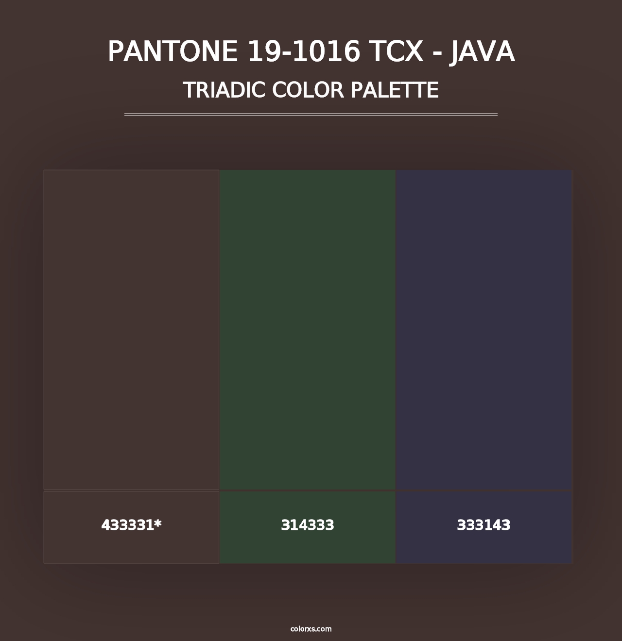 PANTONE 19-1016 TCX - Java - Triadic Color Palette