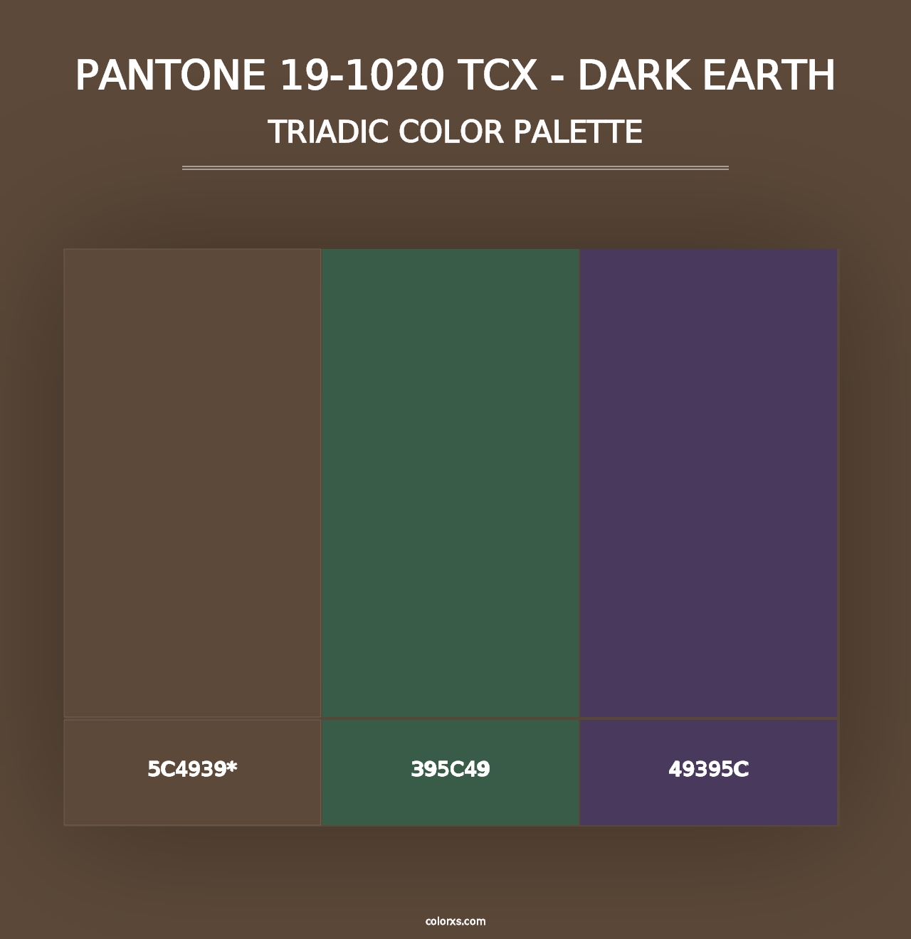 PANTONE 19-1020 TCX - Dark Earth - Triadic Color Palette