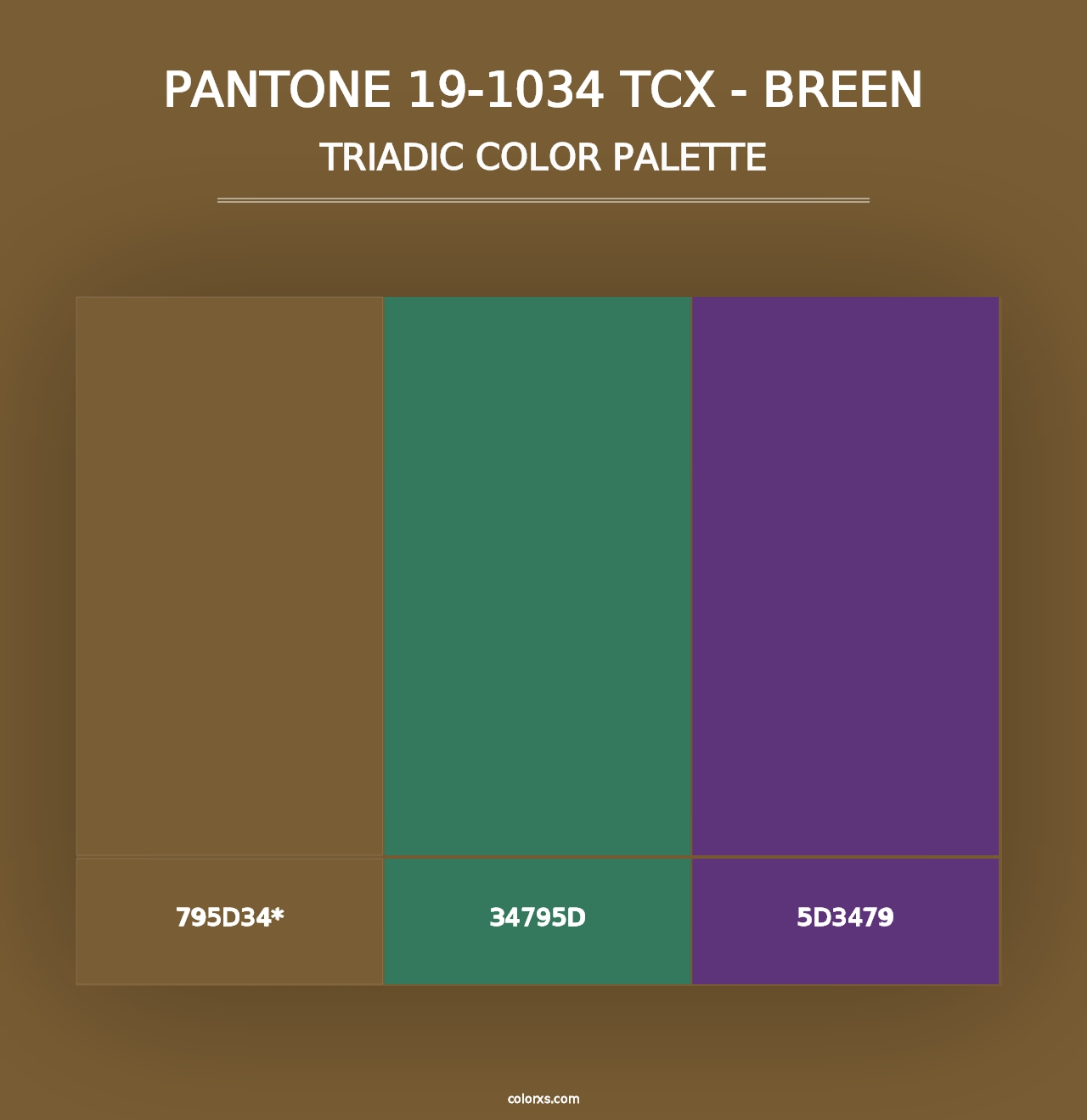 PANTONE 19-1034 TCX - Breen - Triadic Color Palette