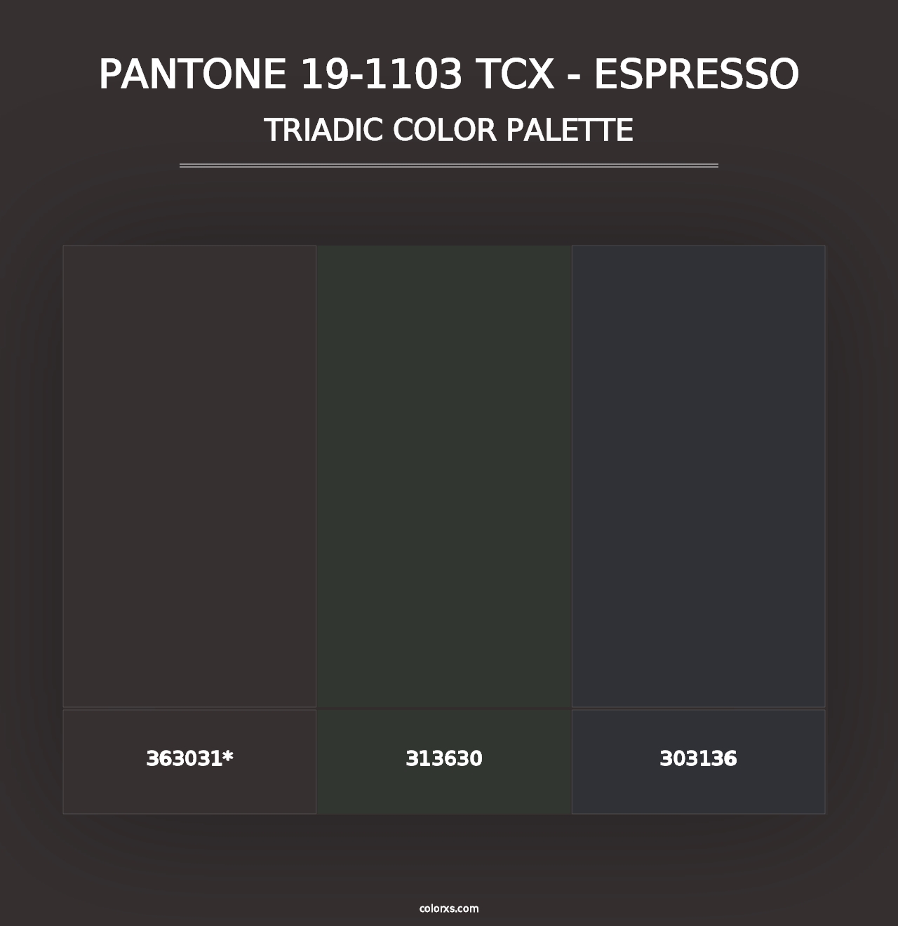 PANTONE 19-1103 TCX - Espresso - Triadic Color Palette