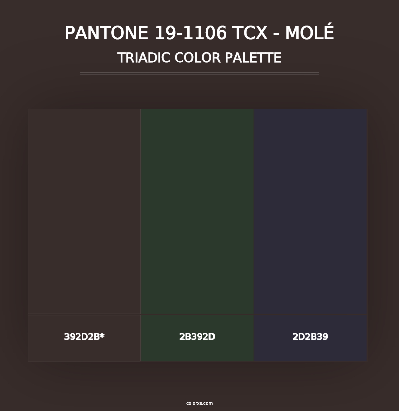 PANTONE 19-1106 TCX - Molé - Triadic Color Palette