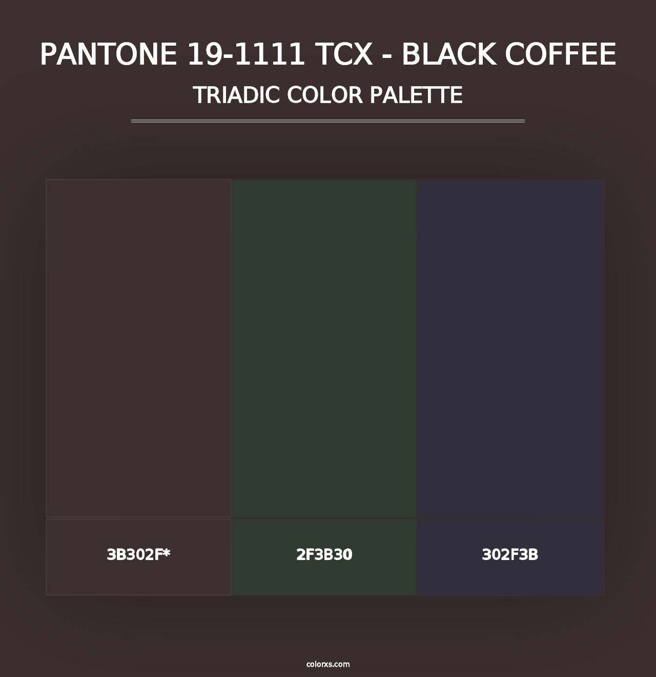 PANTONE 19-1111 TCX - Black Coffee - Triadic Color Palette