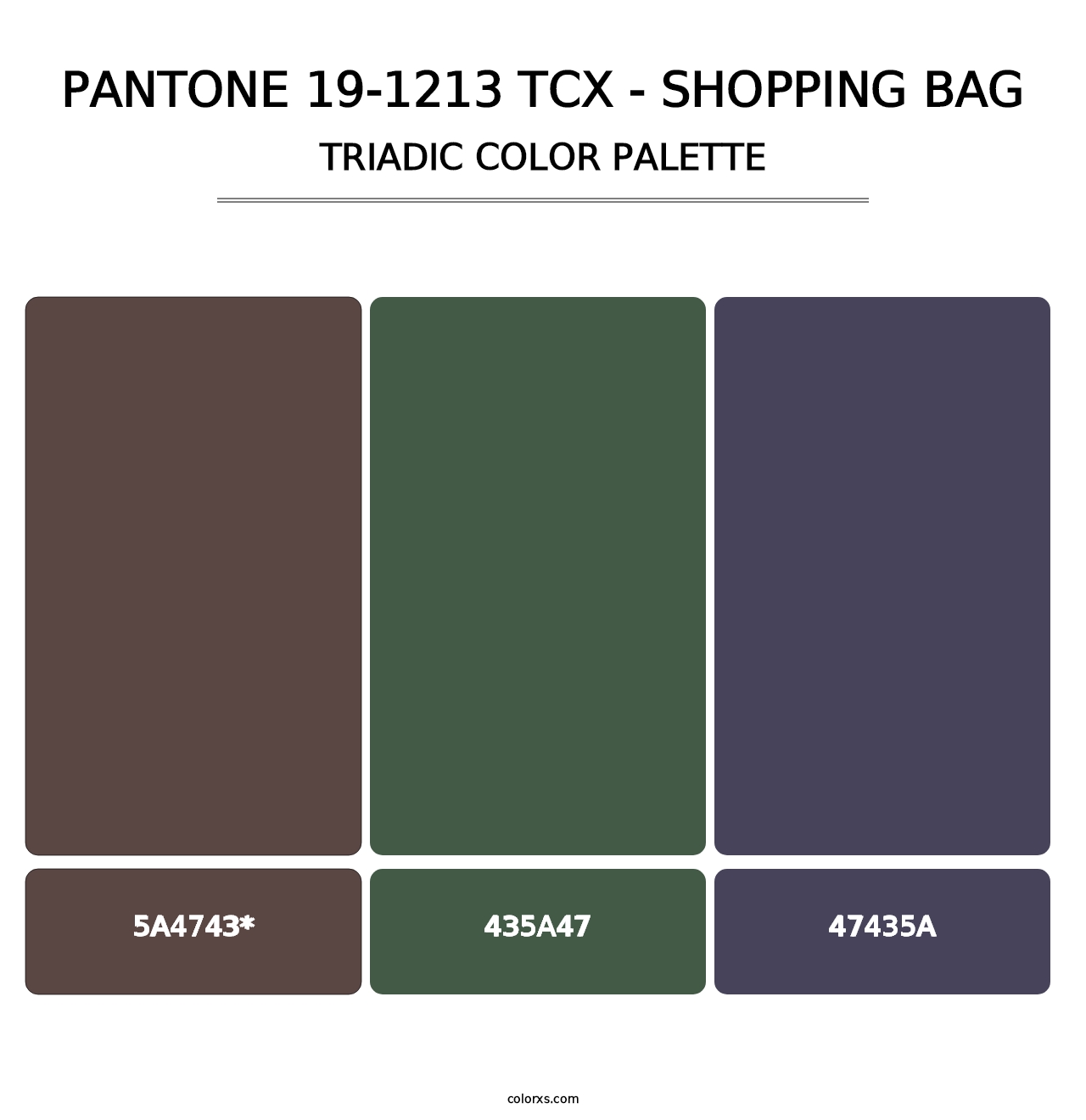 PANTONE 19-1213 TCX - Shopping Bag - Triadic Color Palette