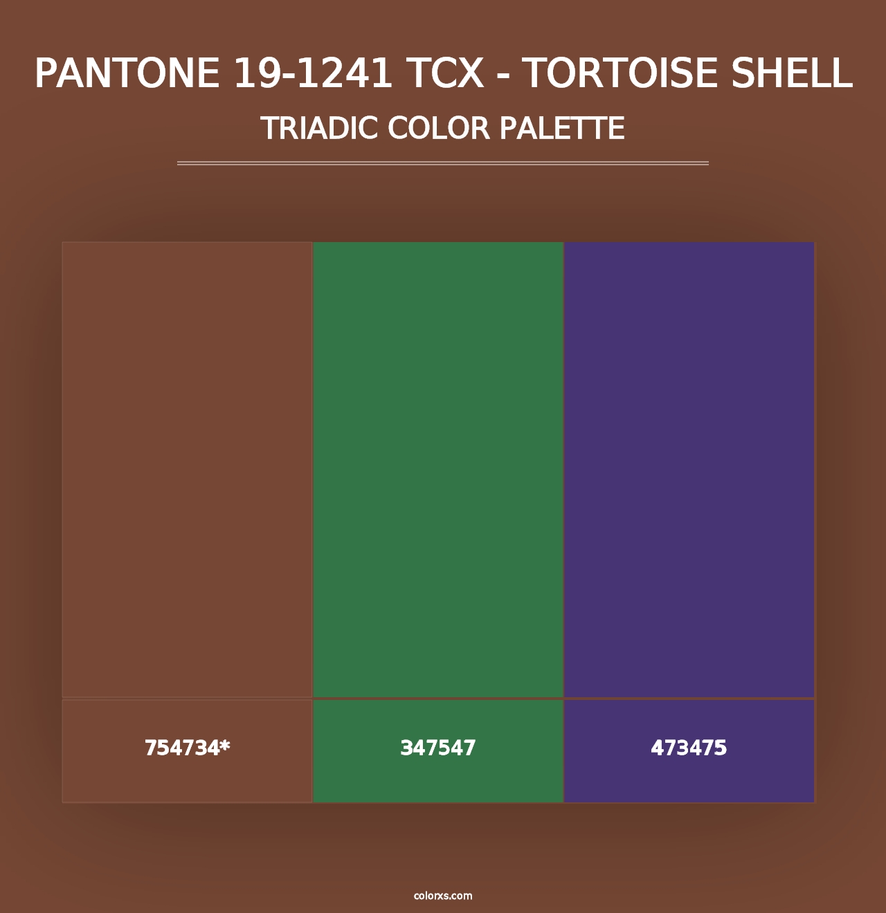 PANTONE 19-1241 TCX - Tortoise Shell - Triadic Color Palette