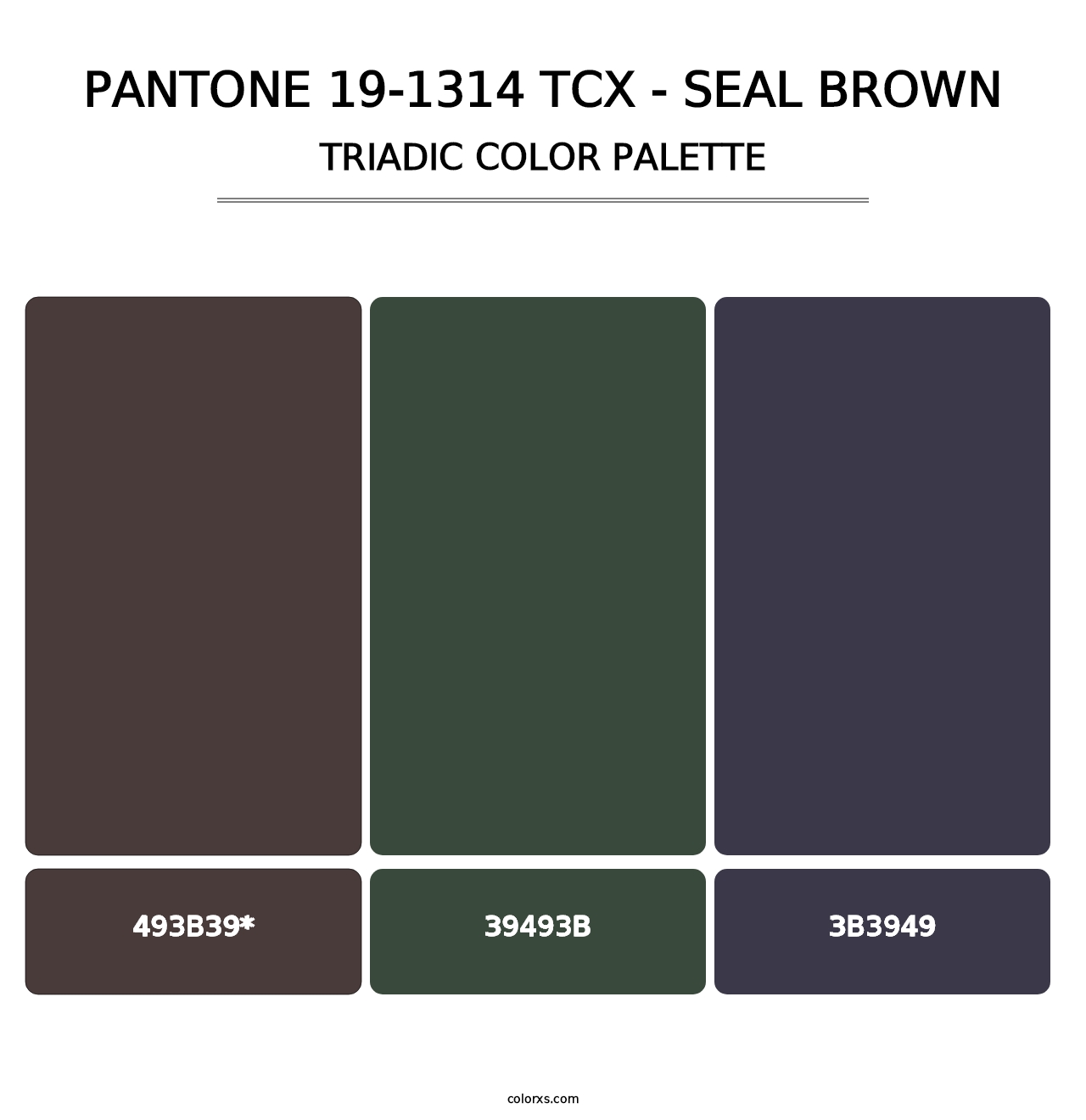 PANTONE 19-1314 TCX - Seal Brown - Triadic Color Palette