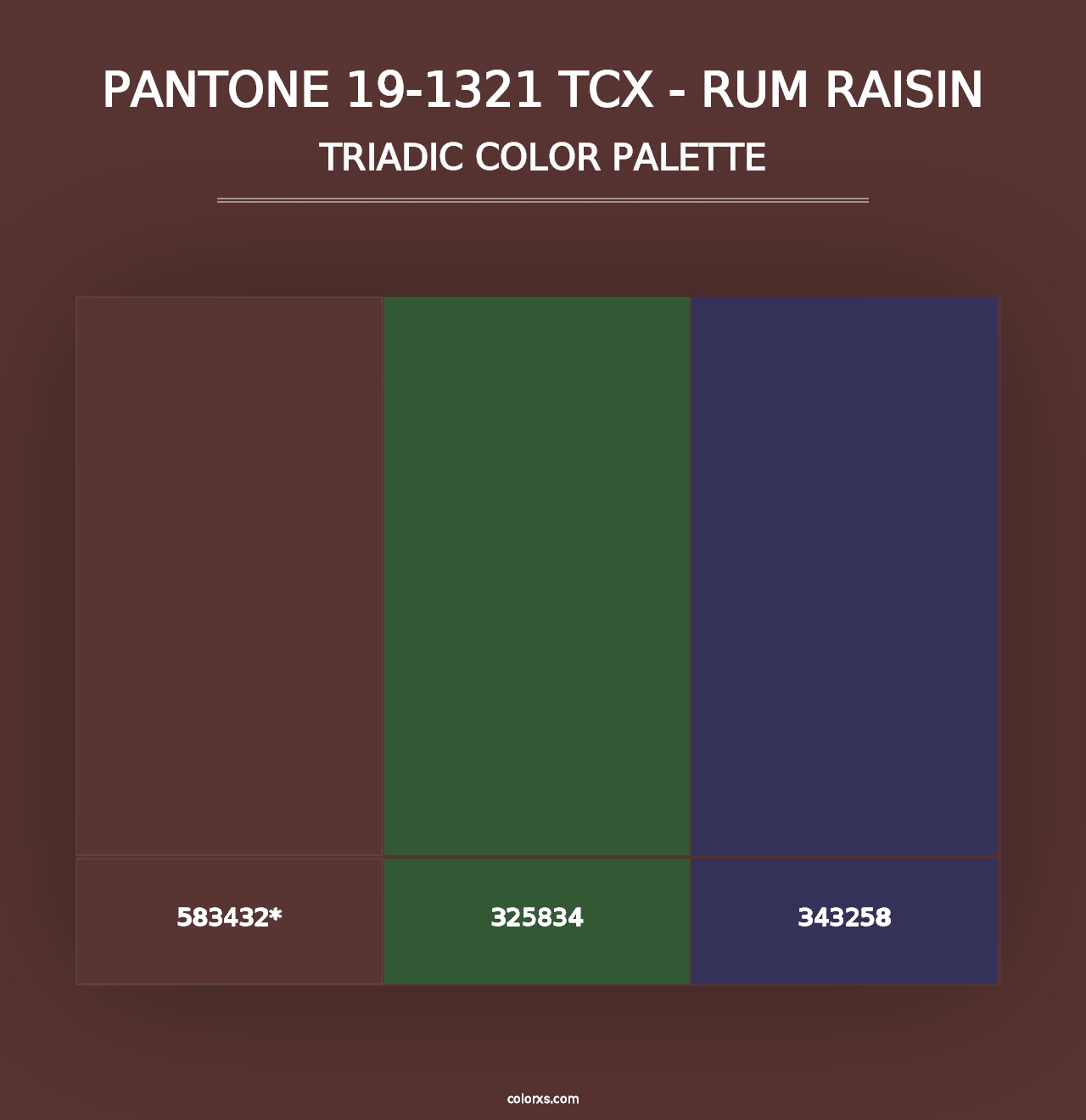 PANTONE 19-1321 TCX - Rum Raisin - Triadic Color Palette