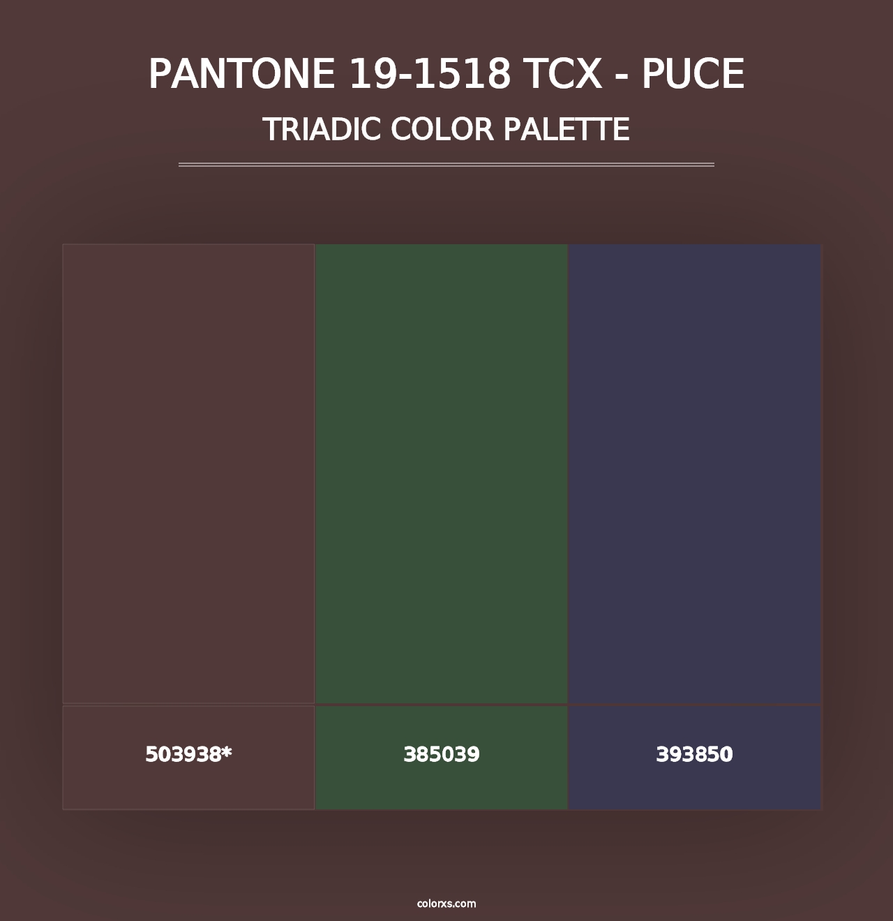 PANTONE 19-1518 TCX - Puce - Triadic Color Palette